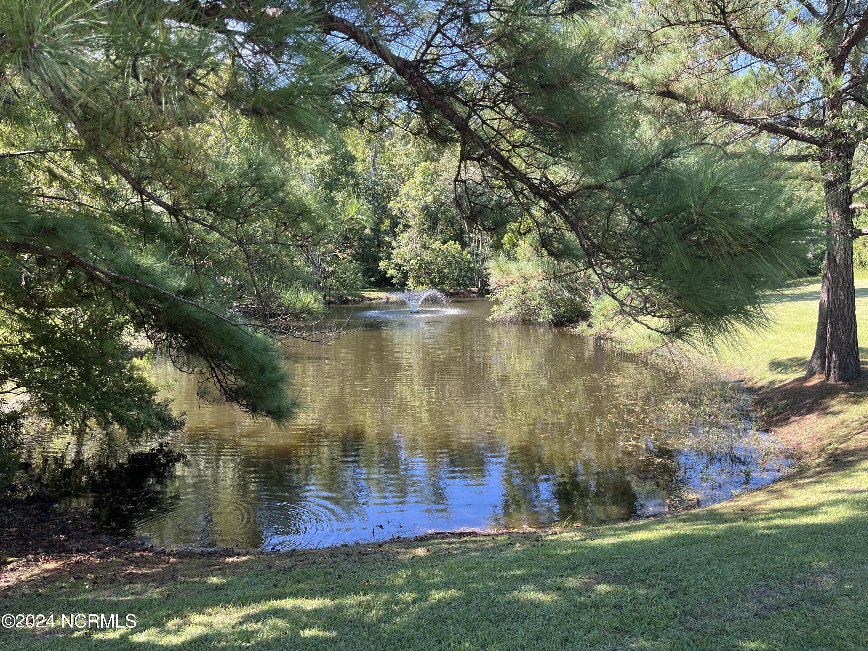 1504 Stones Edge Loop