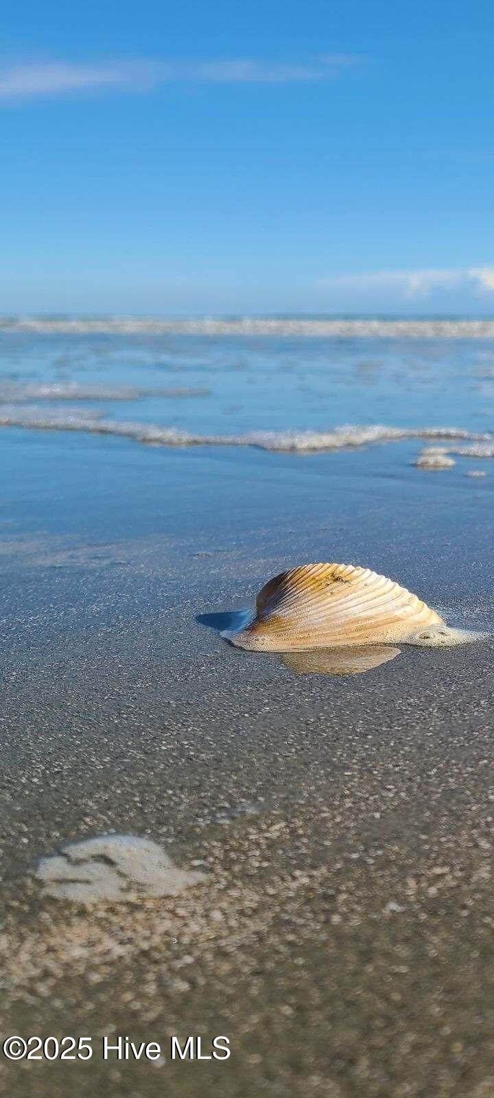 413 Ladyfish Loop NW Lot 171 Columbia