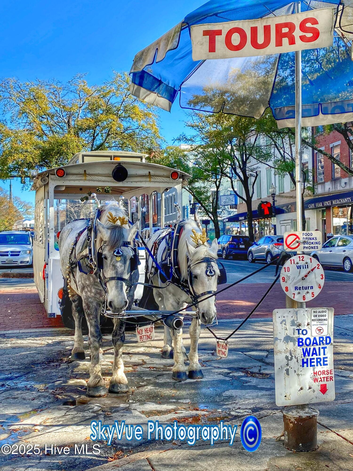 4518 Mocklingbird Lane