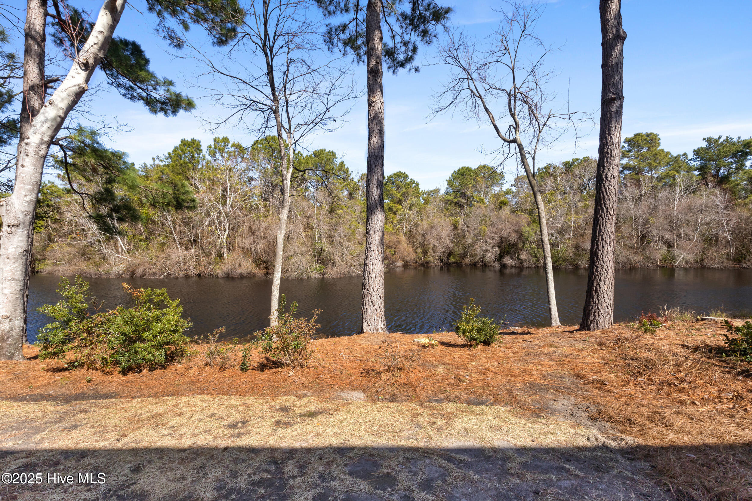 109 Wetland Drive