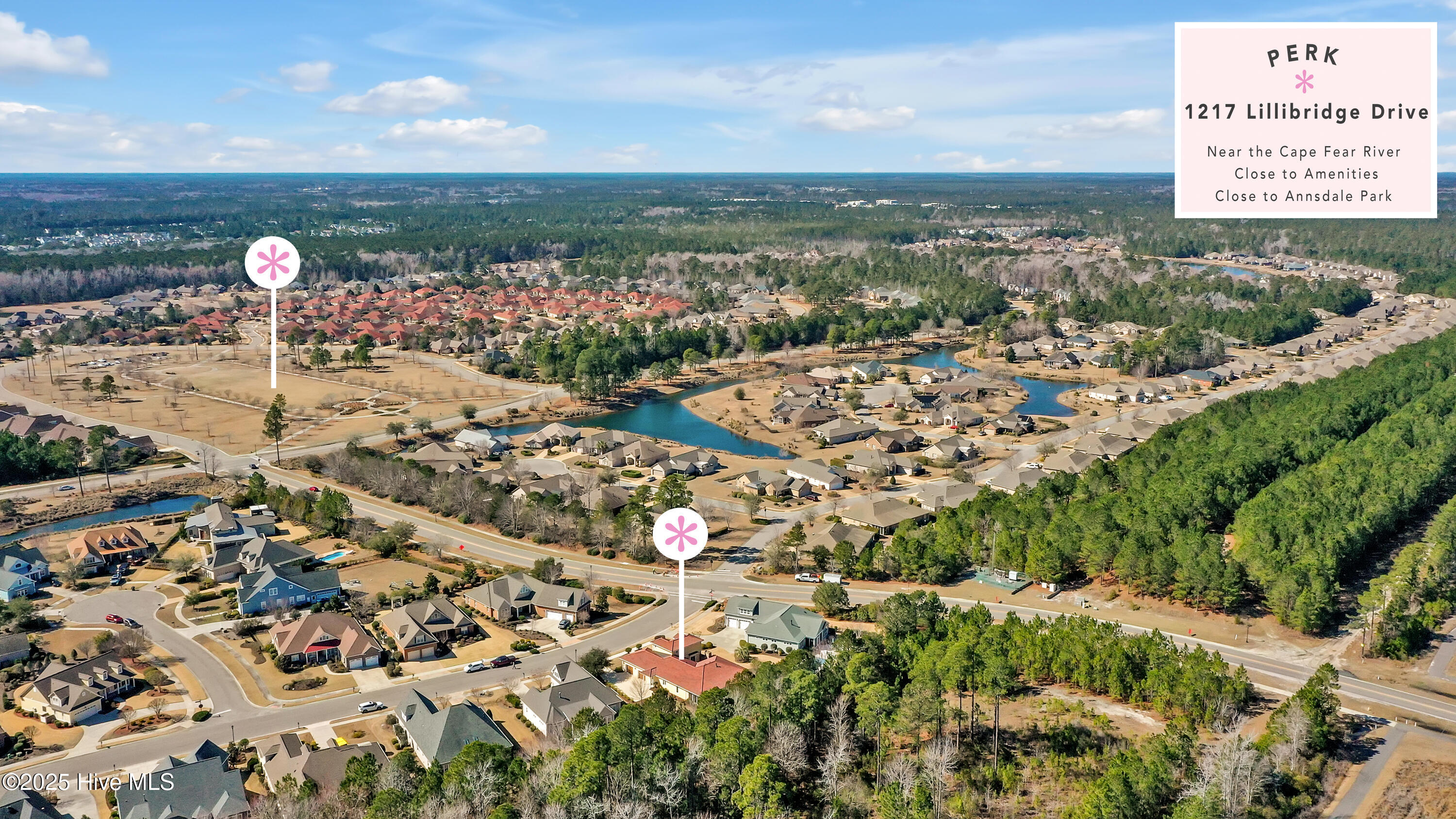1217 Lillibridge Drive