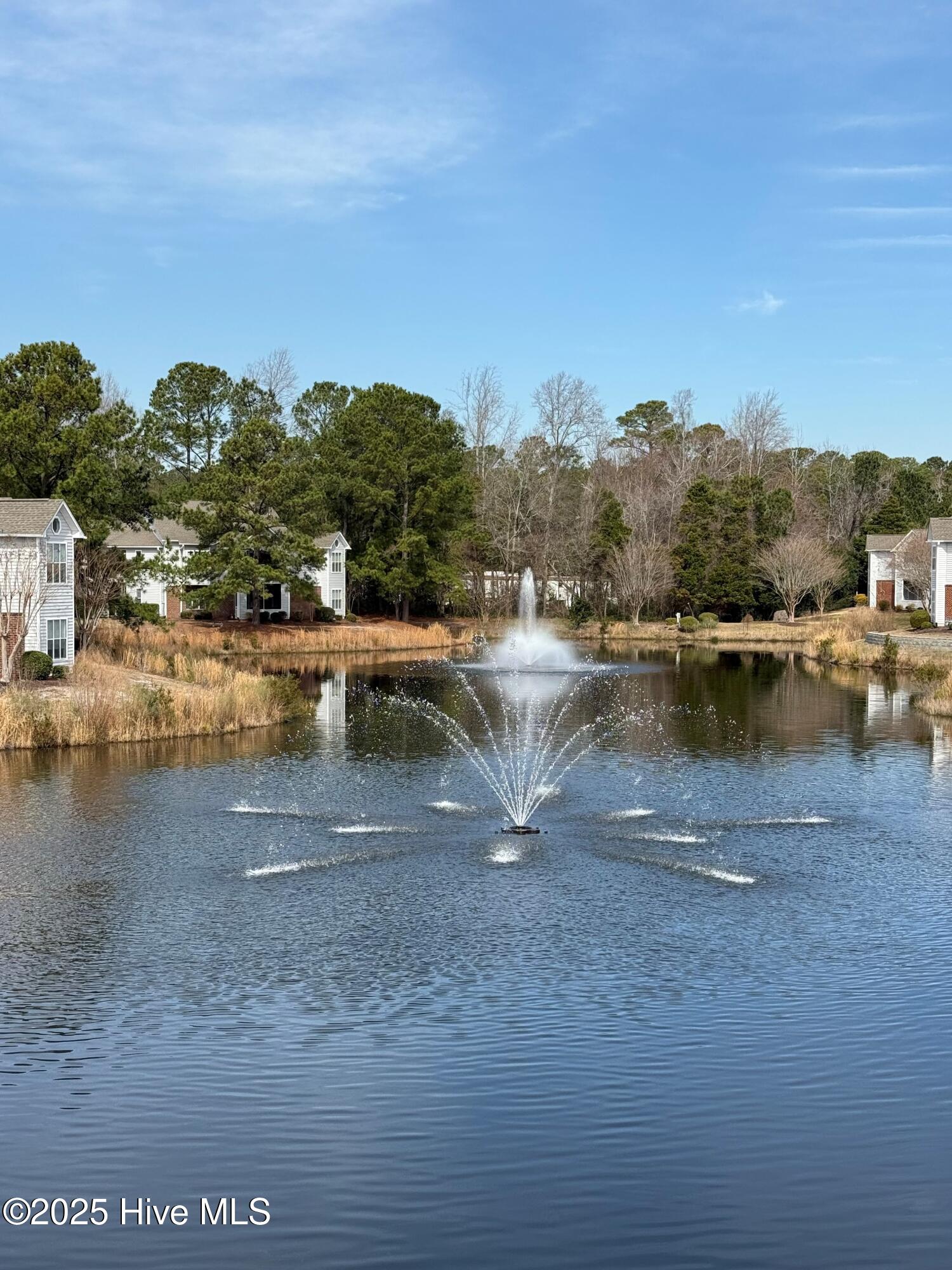 4120 Breezewood Drive Apt 203