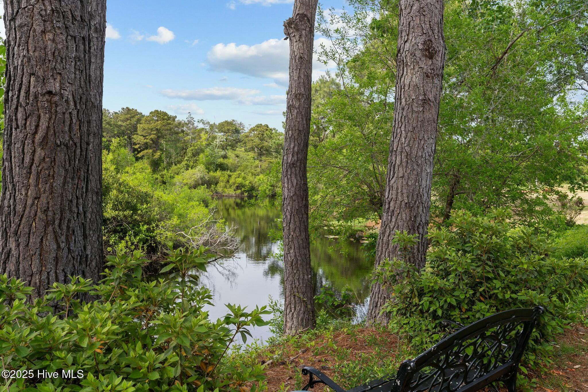 233 Wetland Drive