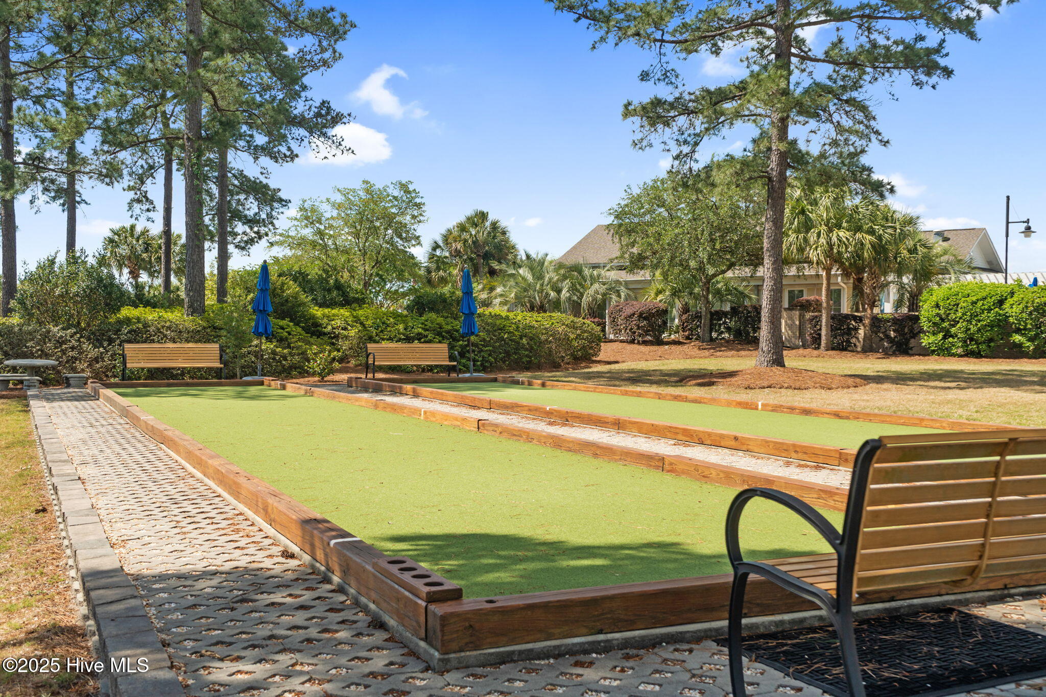 3017 Braewood Court