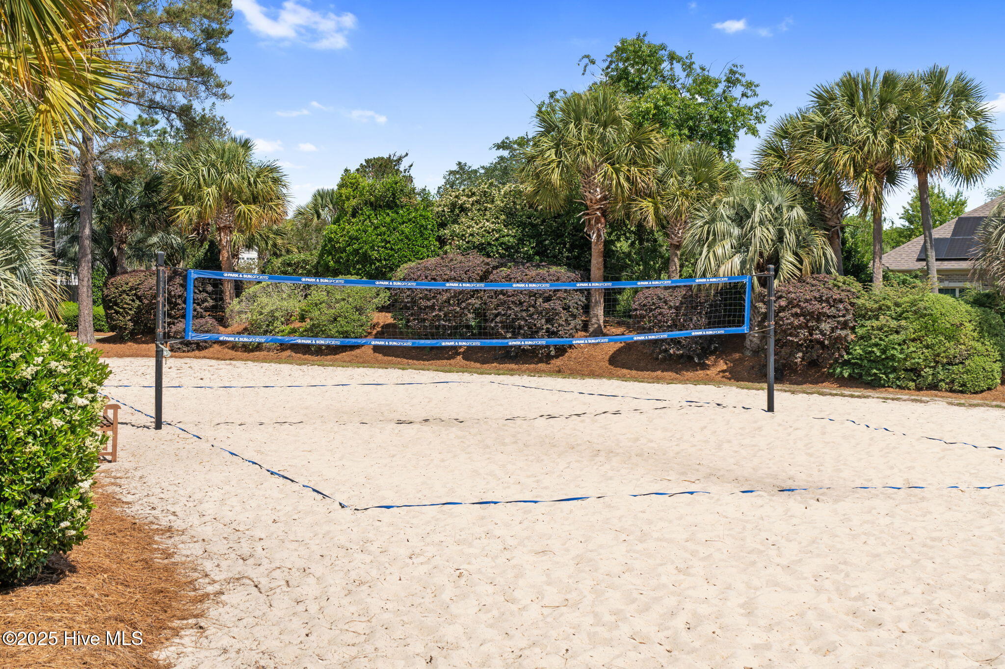3017 Braewood Court