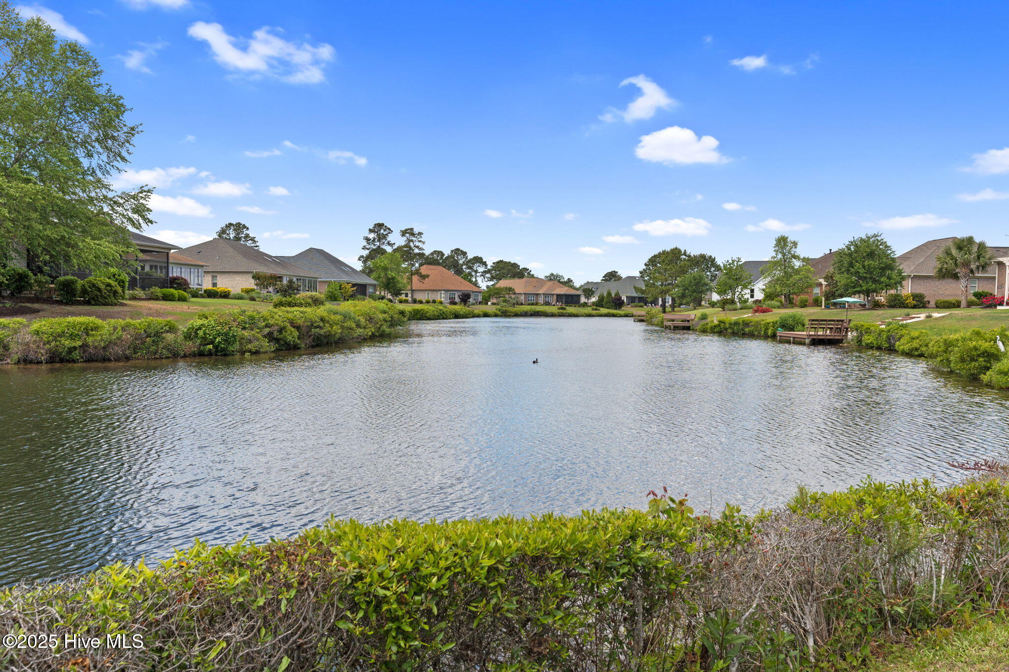 3017 Braewood Court