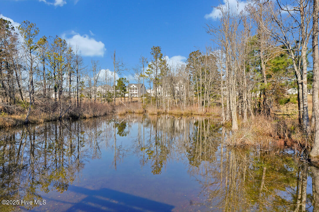 8136 Grand Harbour Court