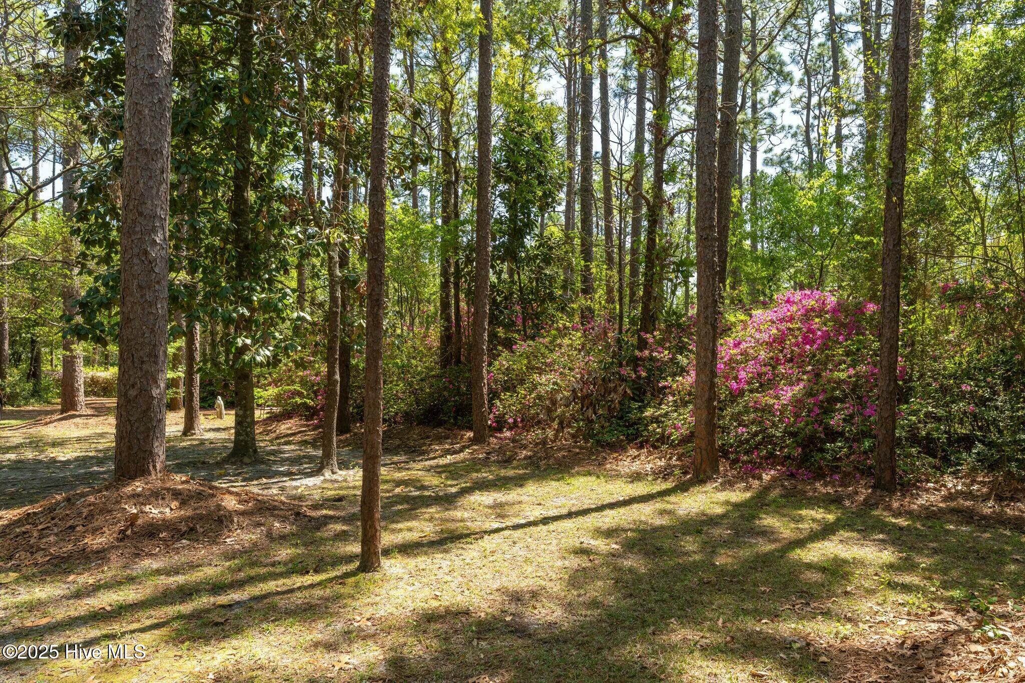 4 Pinewood Circle