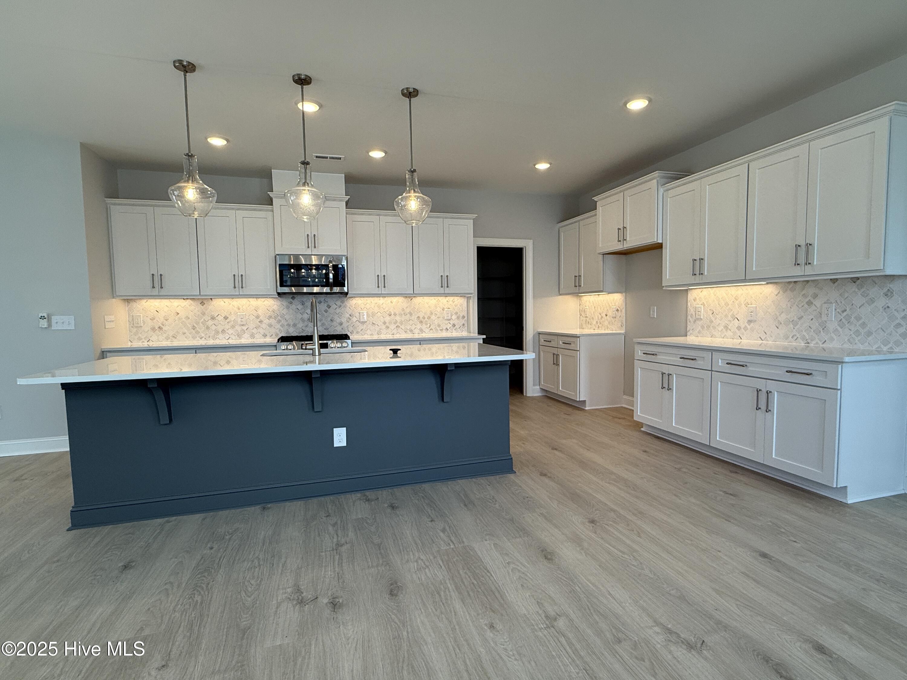 3163 Painted Turtle Loop 39