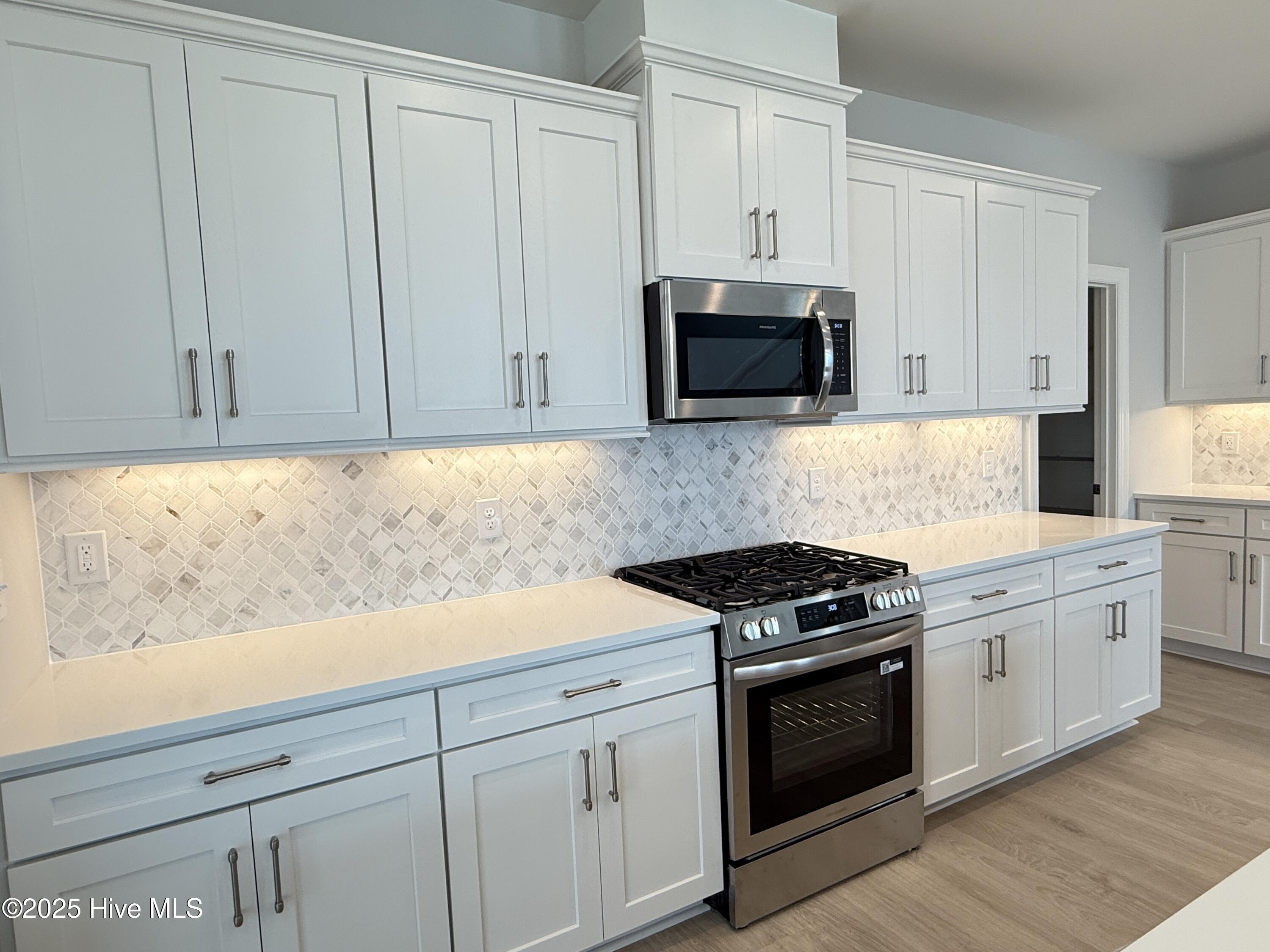 3163 Painted Turtle Loop 39