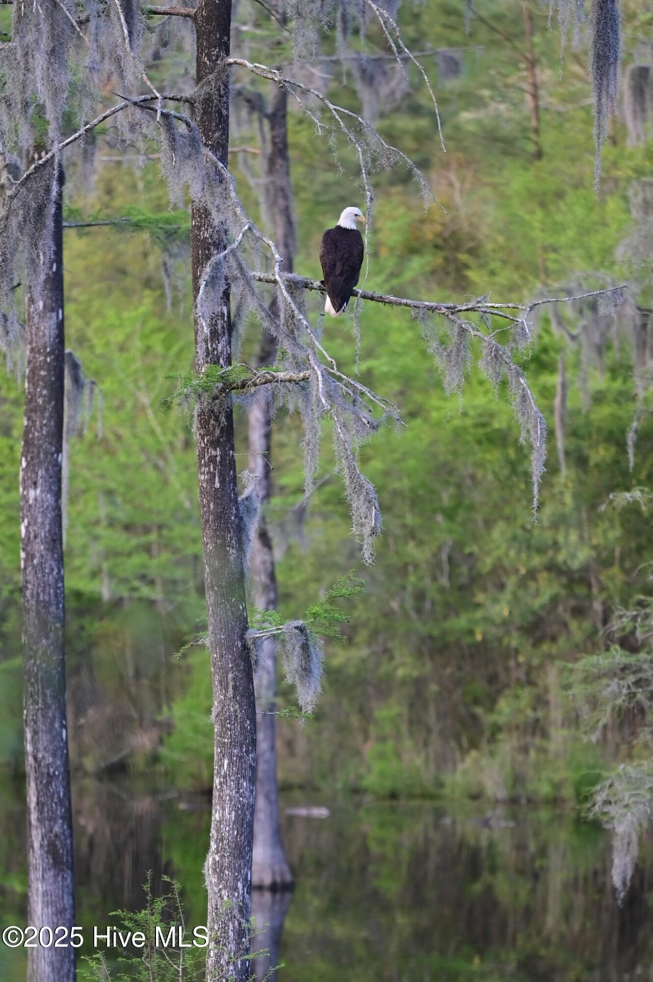 9722 Salty Apple Circle NE