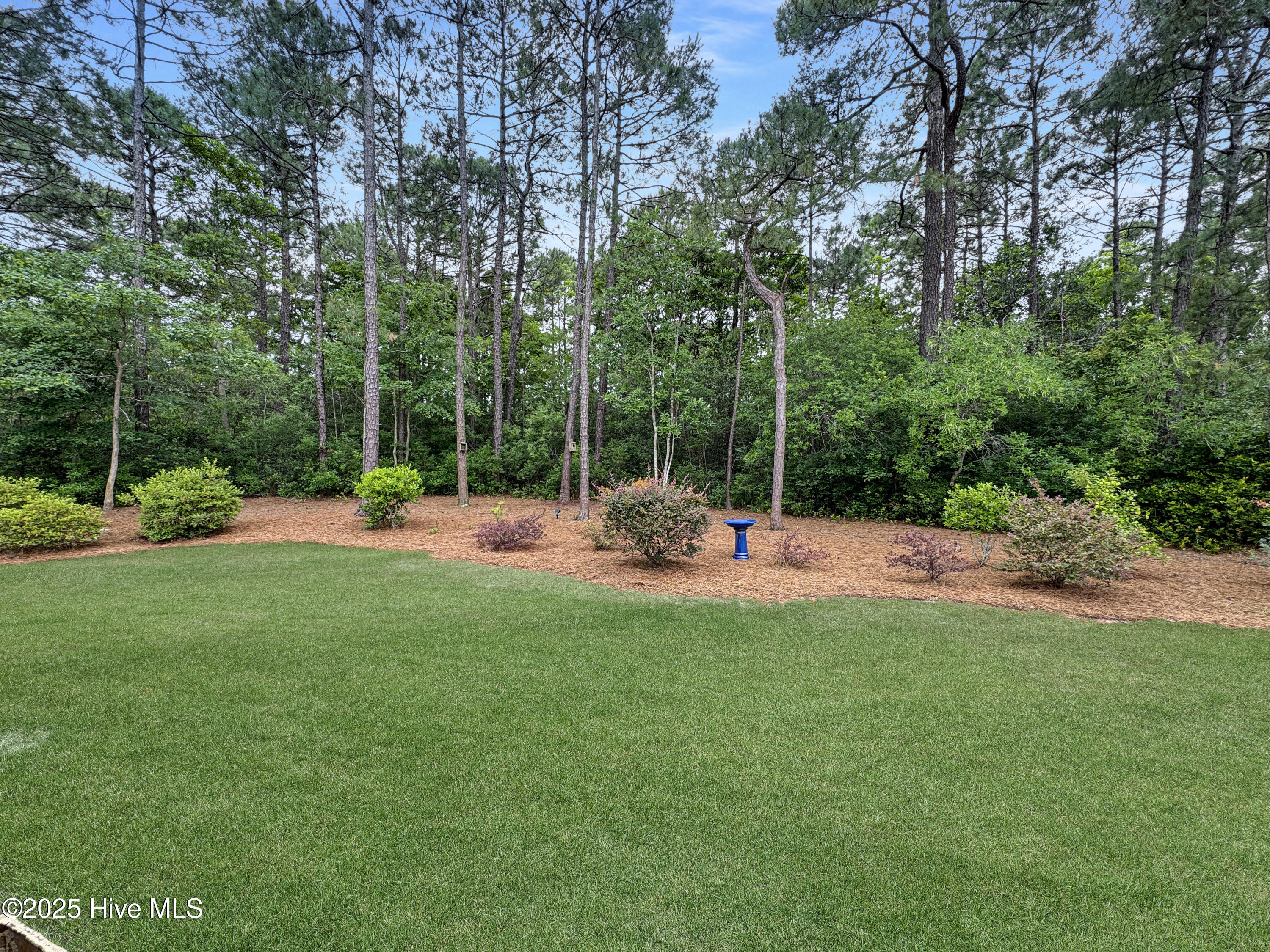 6003 Mount Carmel Parke