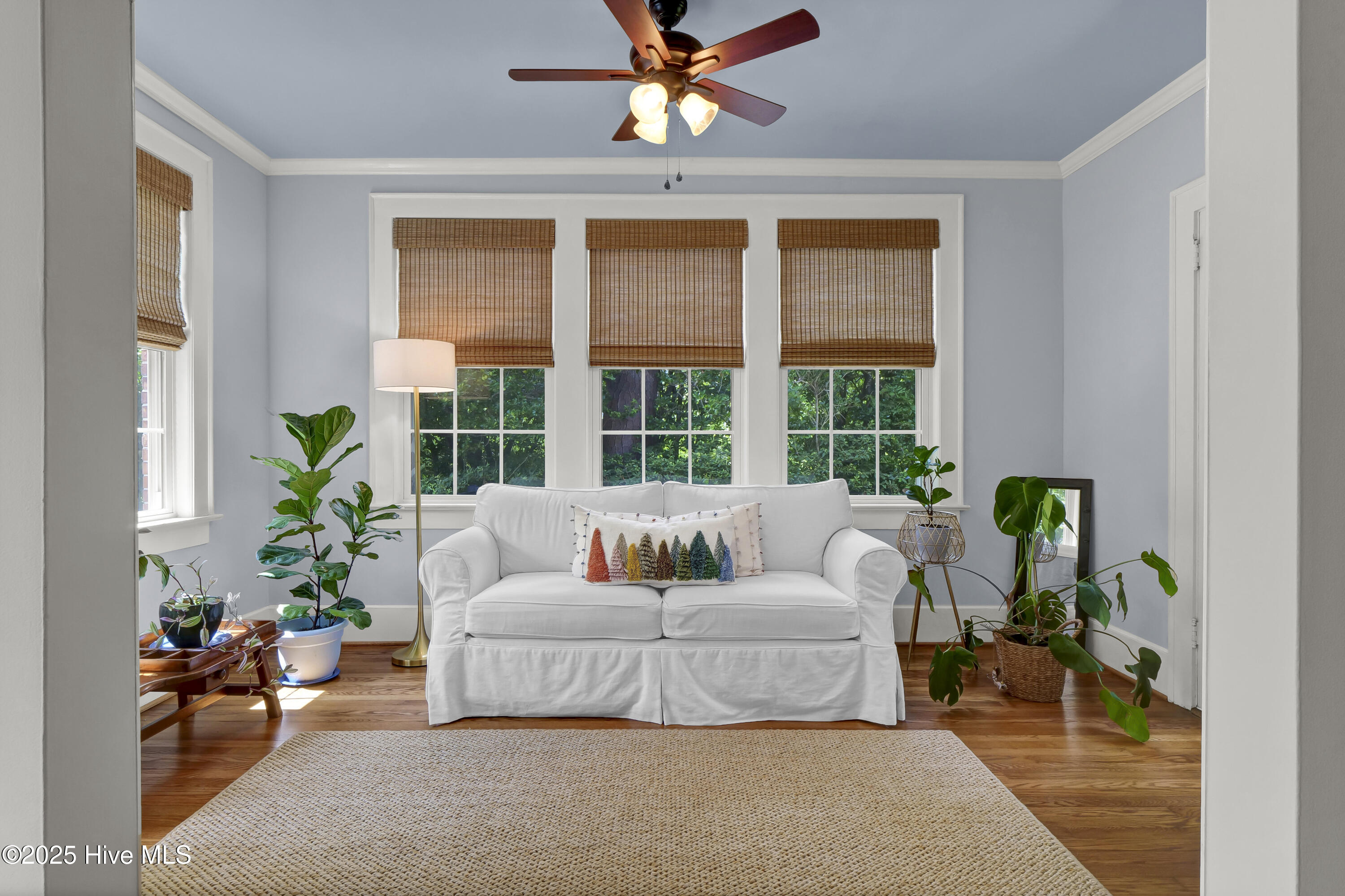 15 Forest Hills Drive