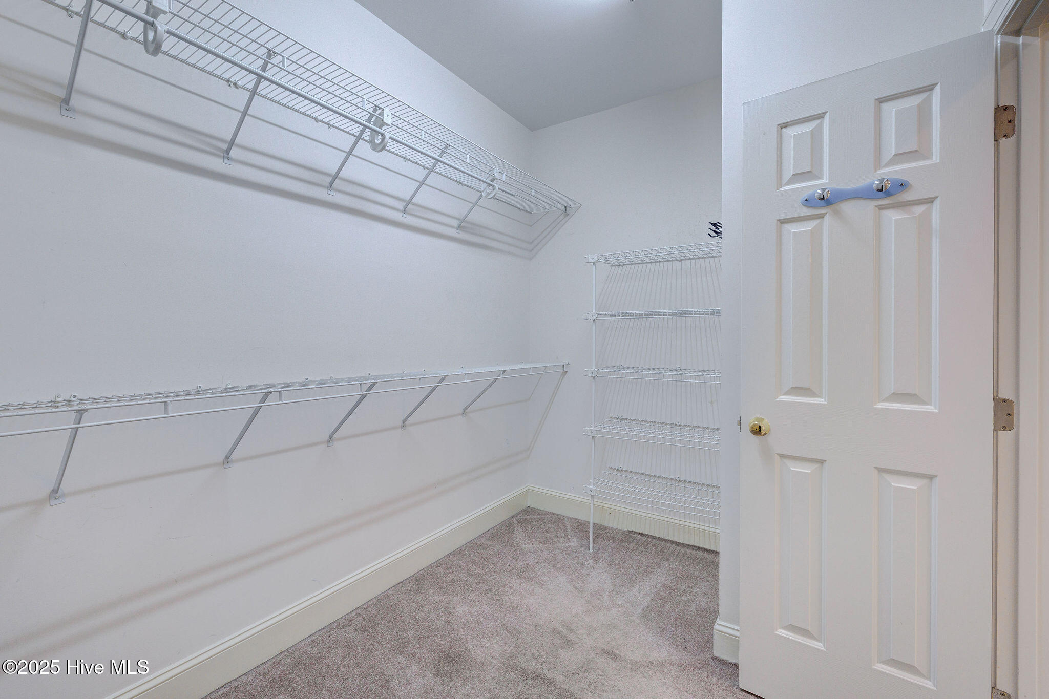 652 Lawshe Court