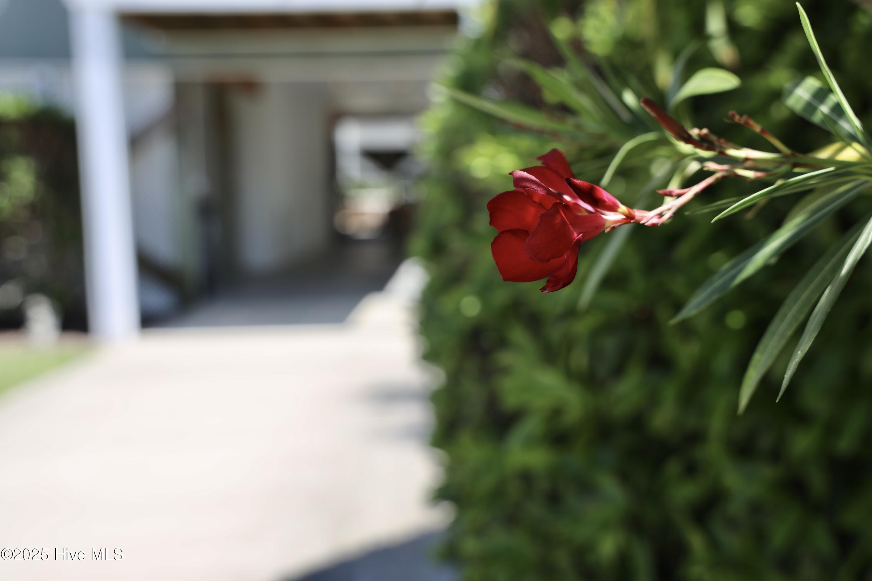 606 Tennessee Avenue Unit 2