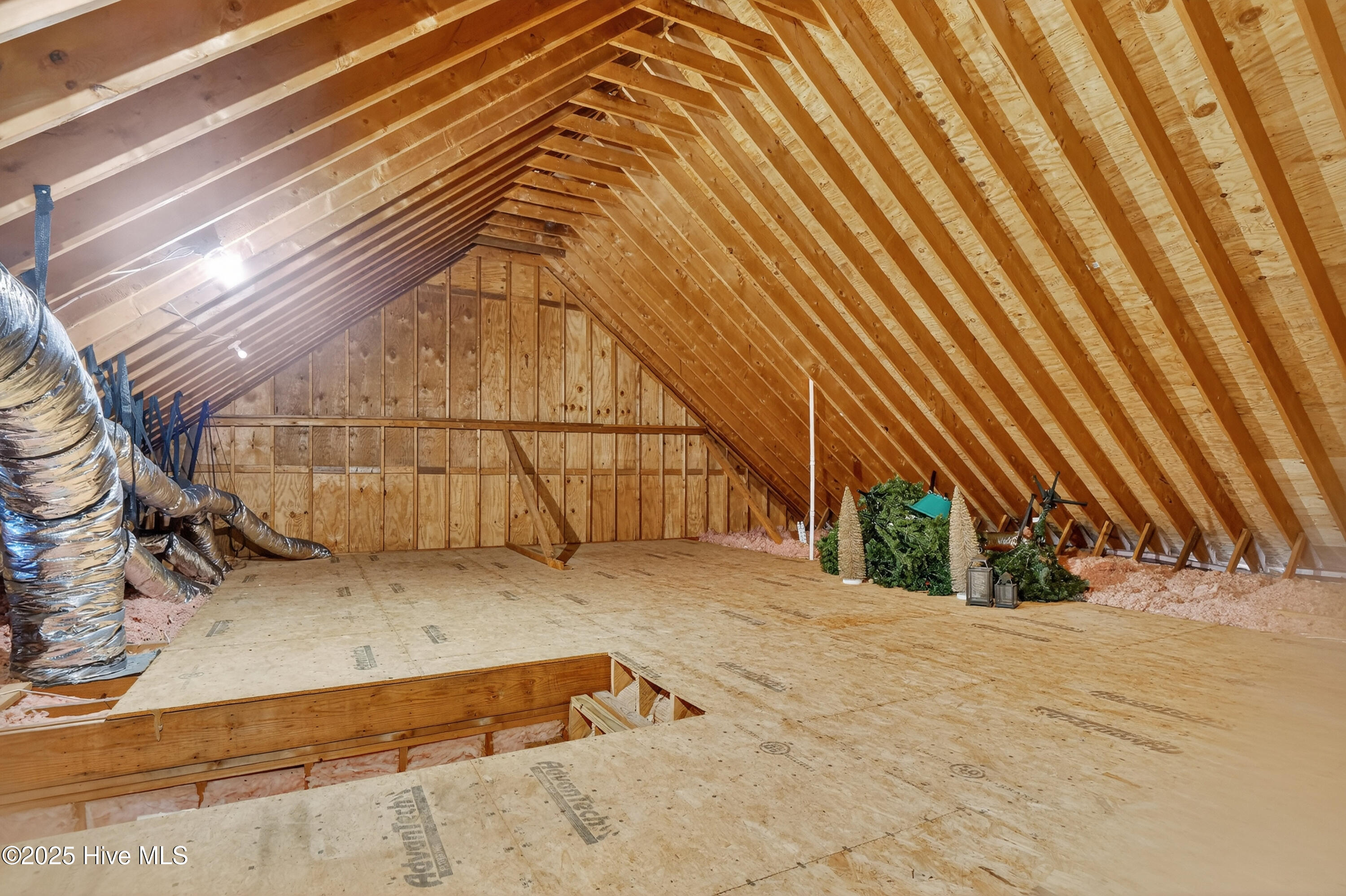 1423 Halcyon Lane
