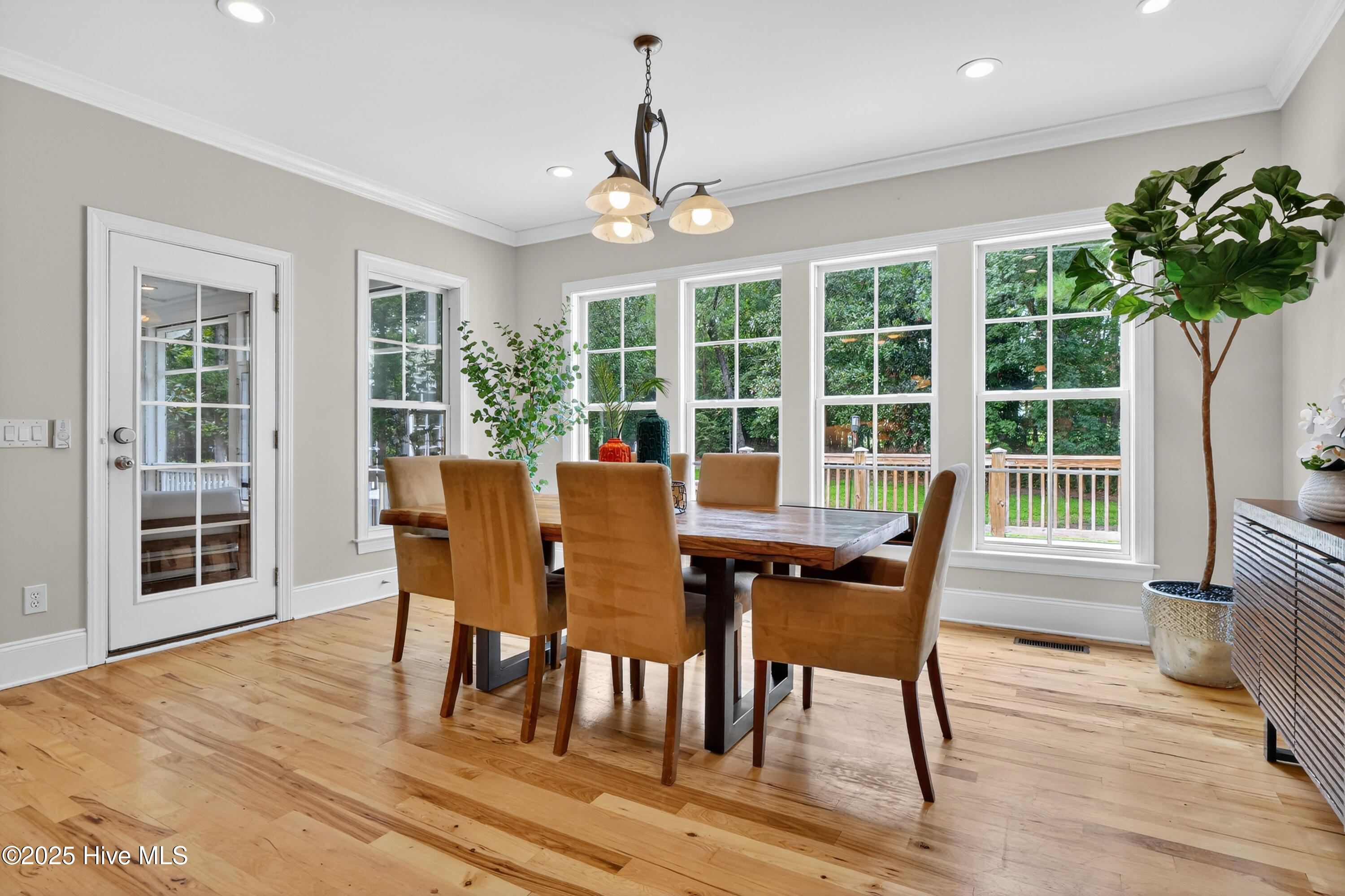 1423 Halcyon Lane