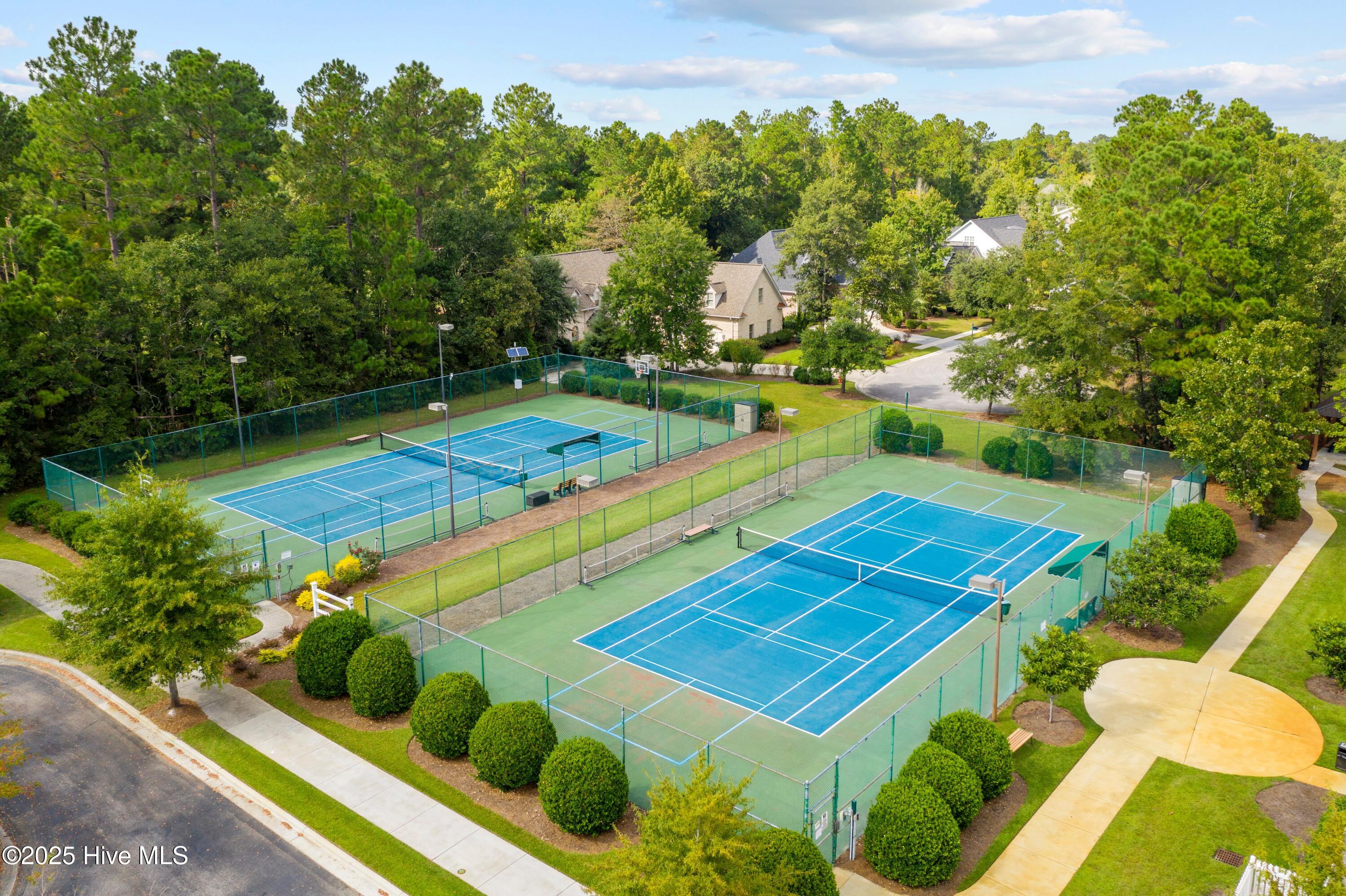 1541 Grandiflora Drive