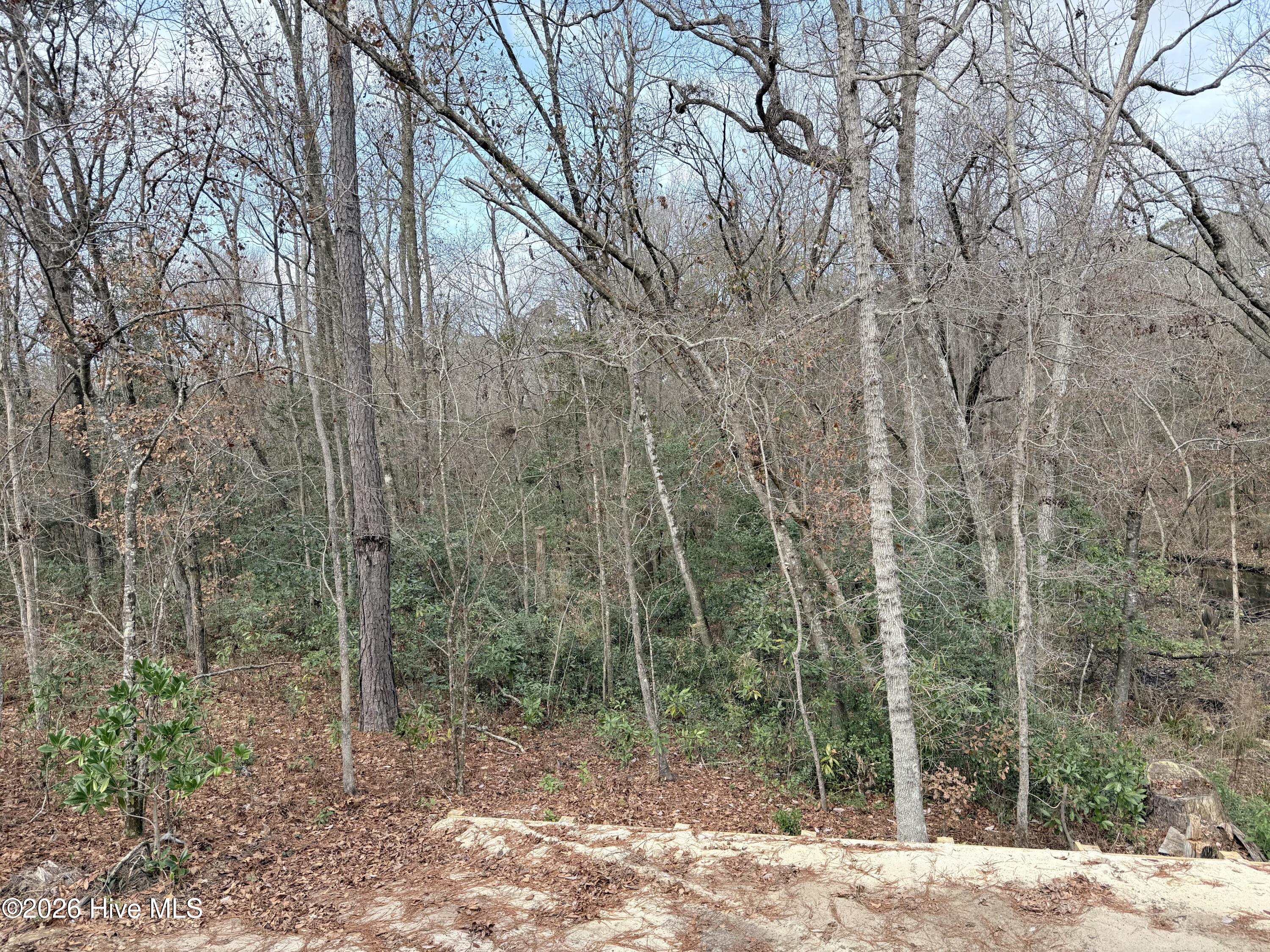 1541 Grandiflora Drive