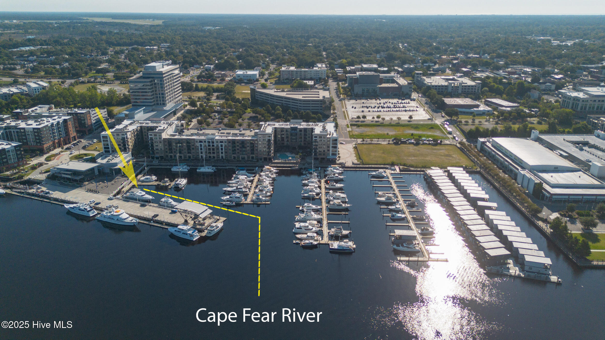 10 Harnett Street, F1, Wilmington Unit: F1