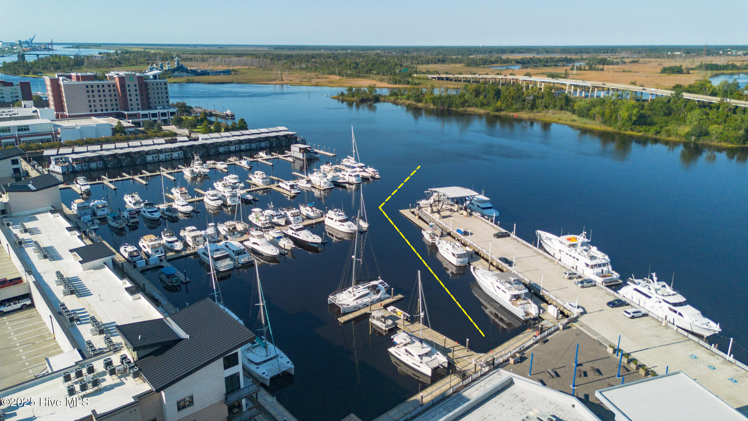 10 Harnett Street, F1, Wilmington Unit: F1