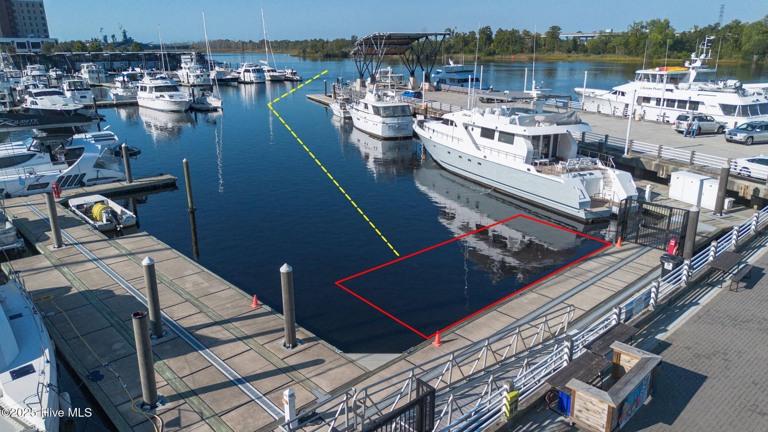 10 Harnett Street, F1, Wilmington Unit: F1