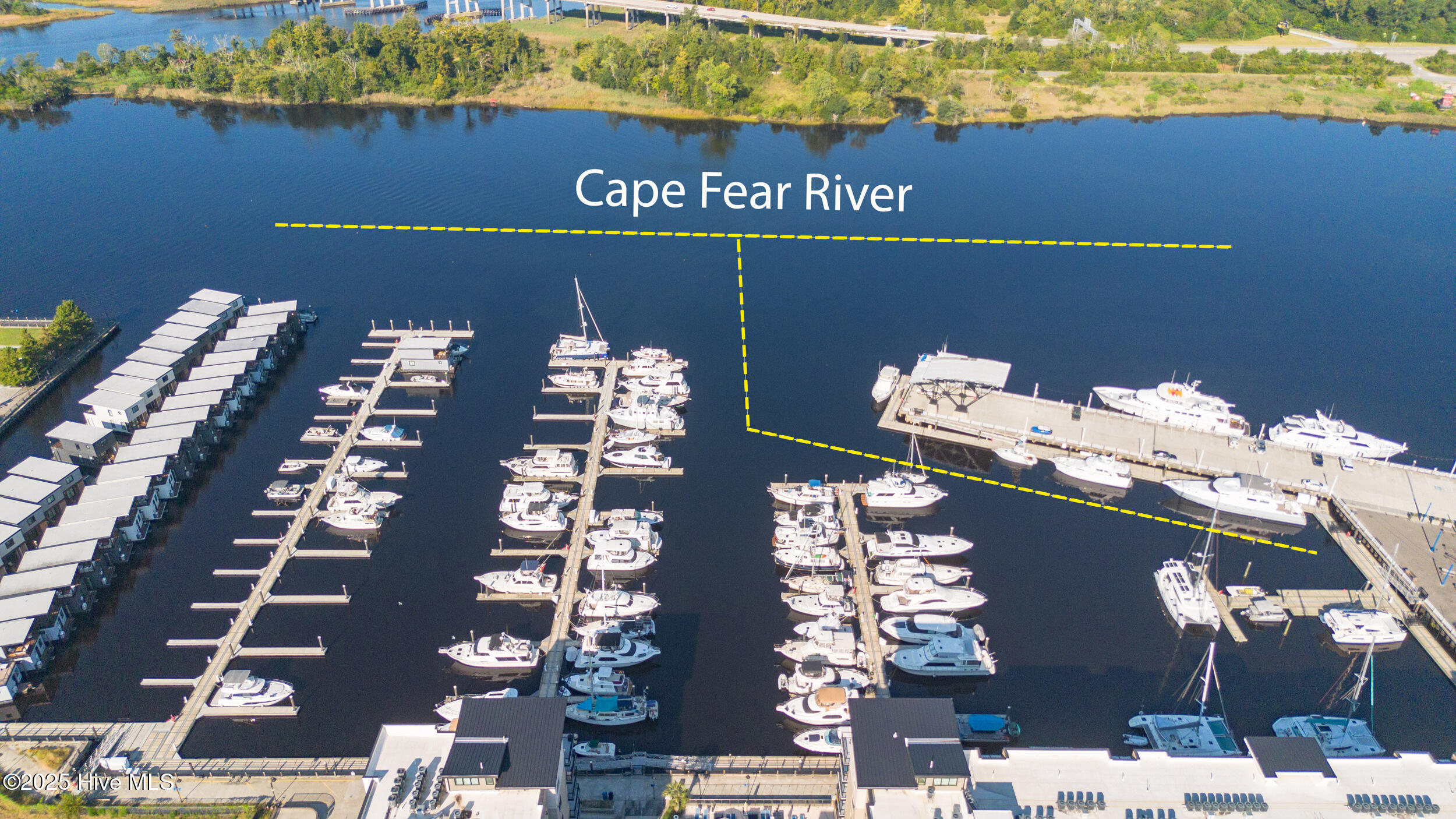 10 Harnett Street, F1, Wilmington Unit: F1