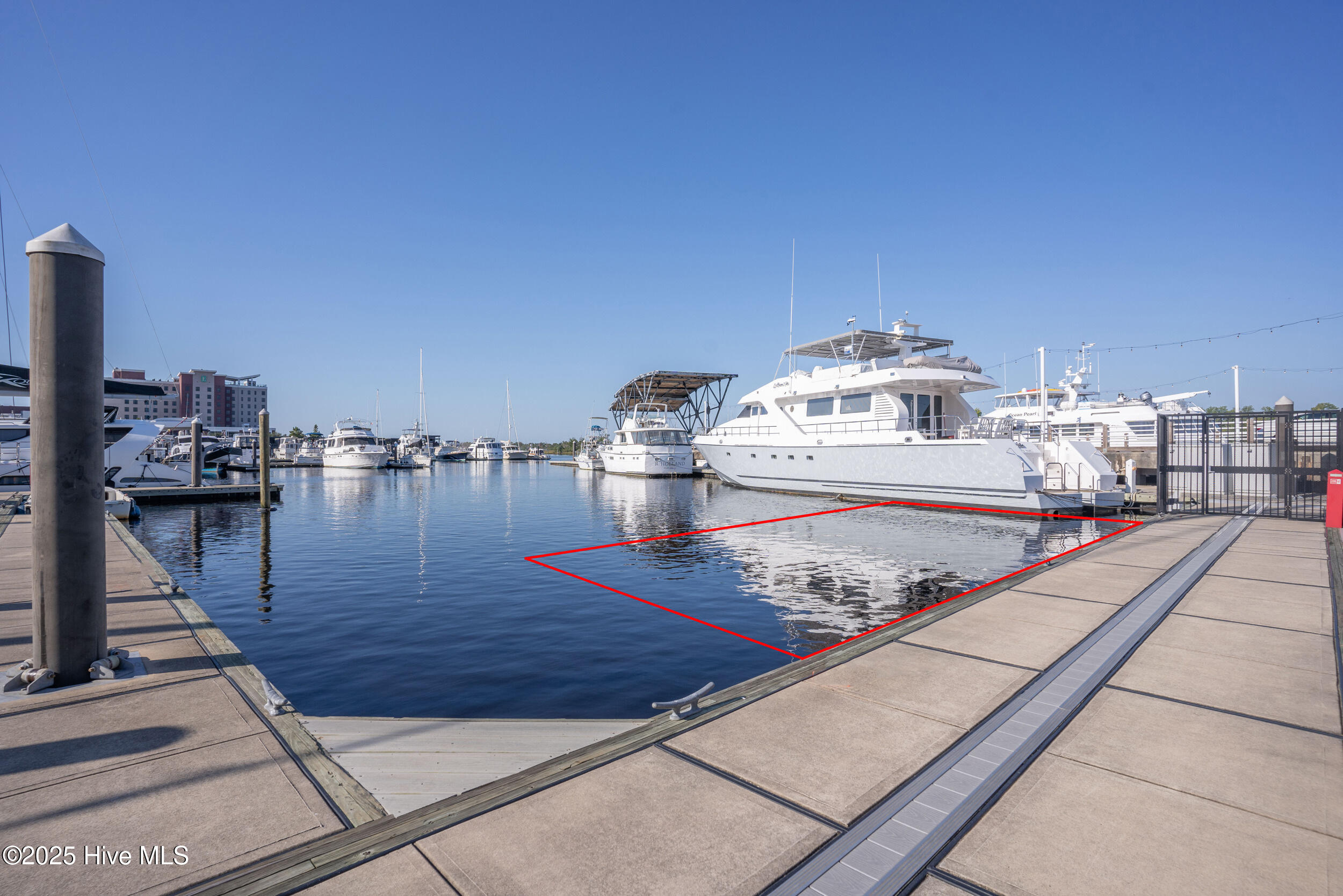 10 Harnett Street, F1, Wilmington Unit: F1