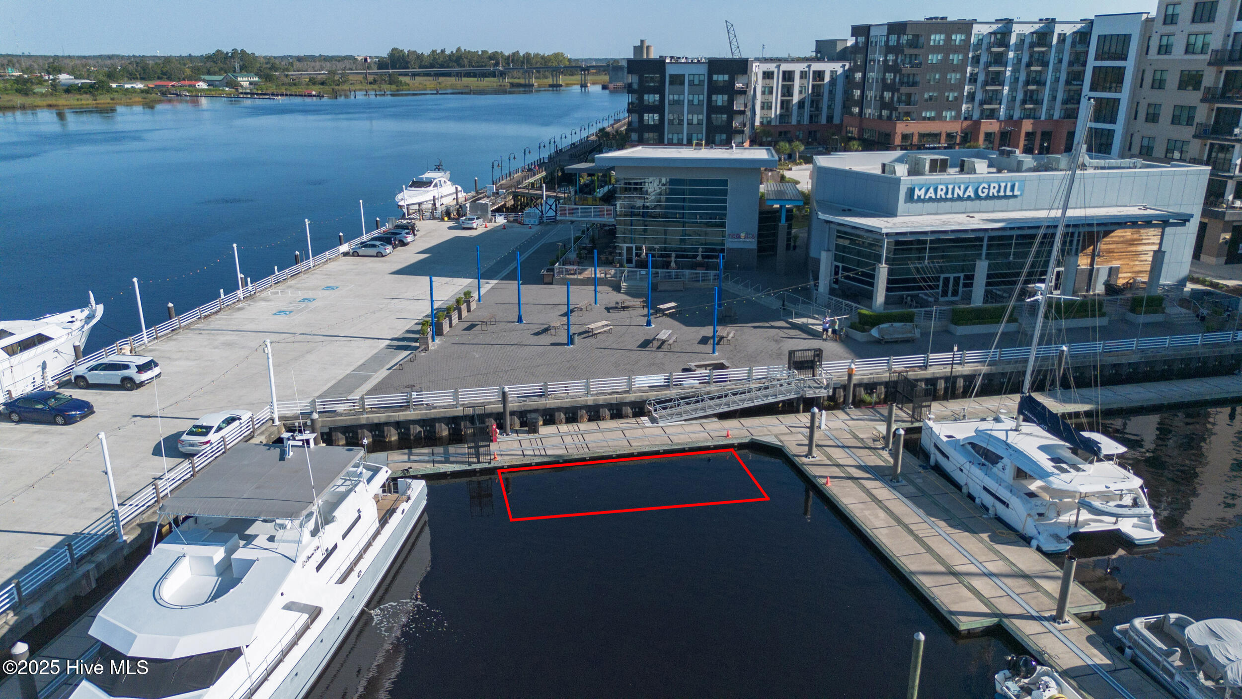 10 Harnett Street, F1, Wilmington Unit: F1