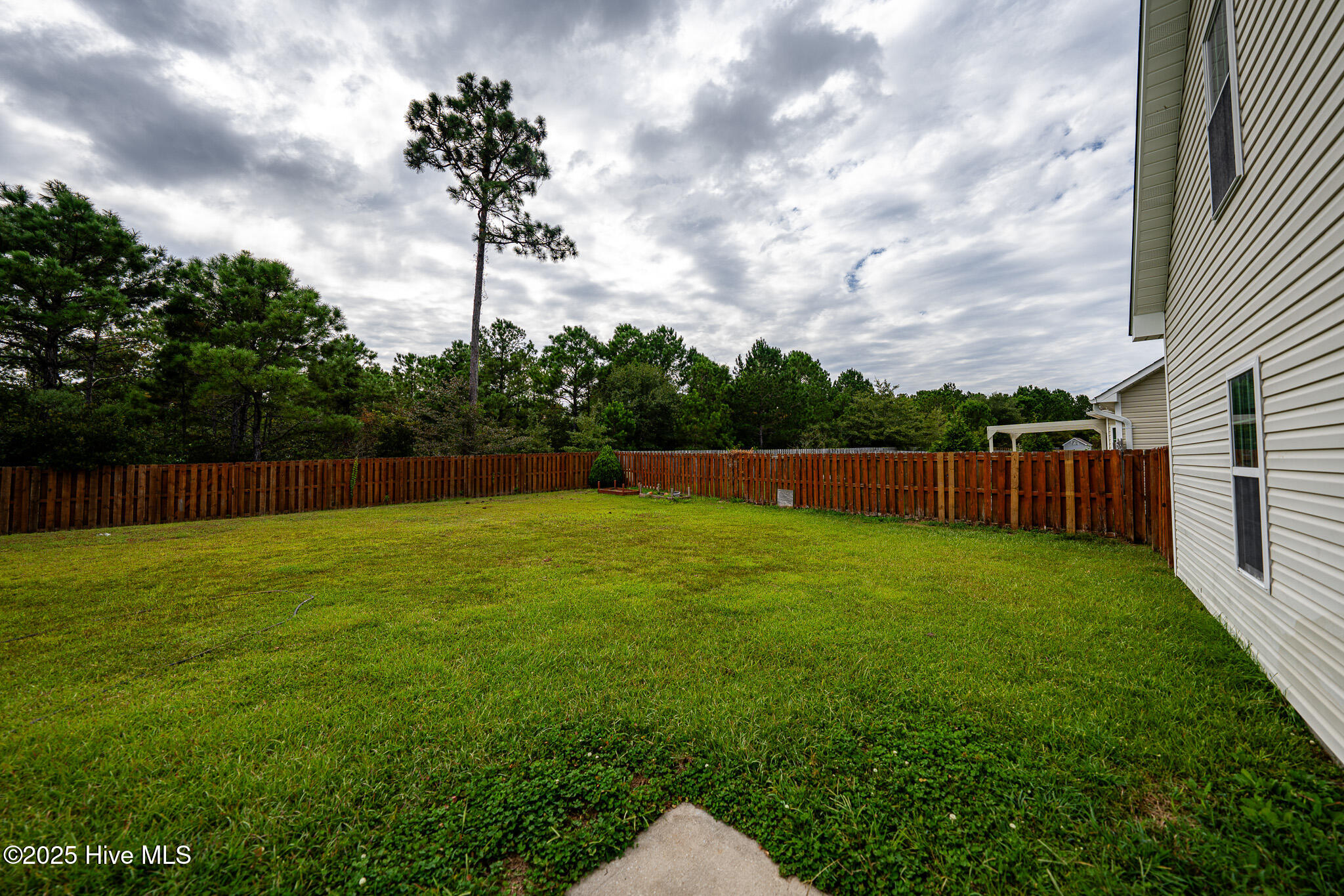 203 Belvedere Drive