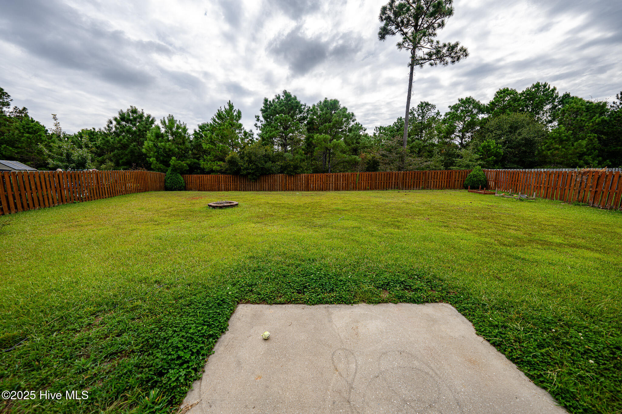 203 Belvedere Drive