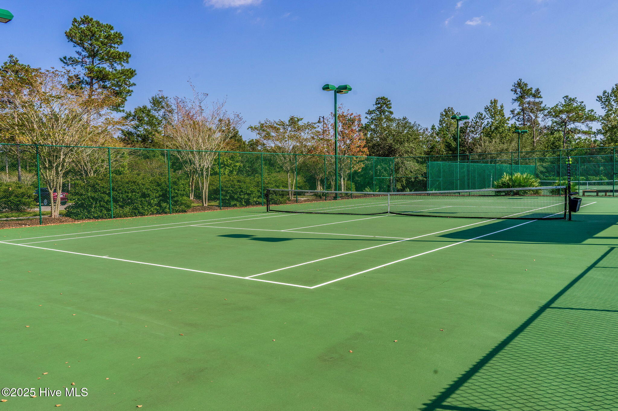 3817 Mapleville Lane