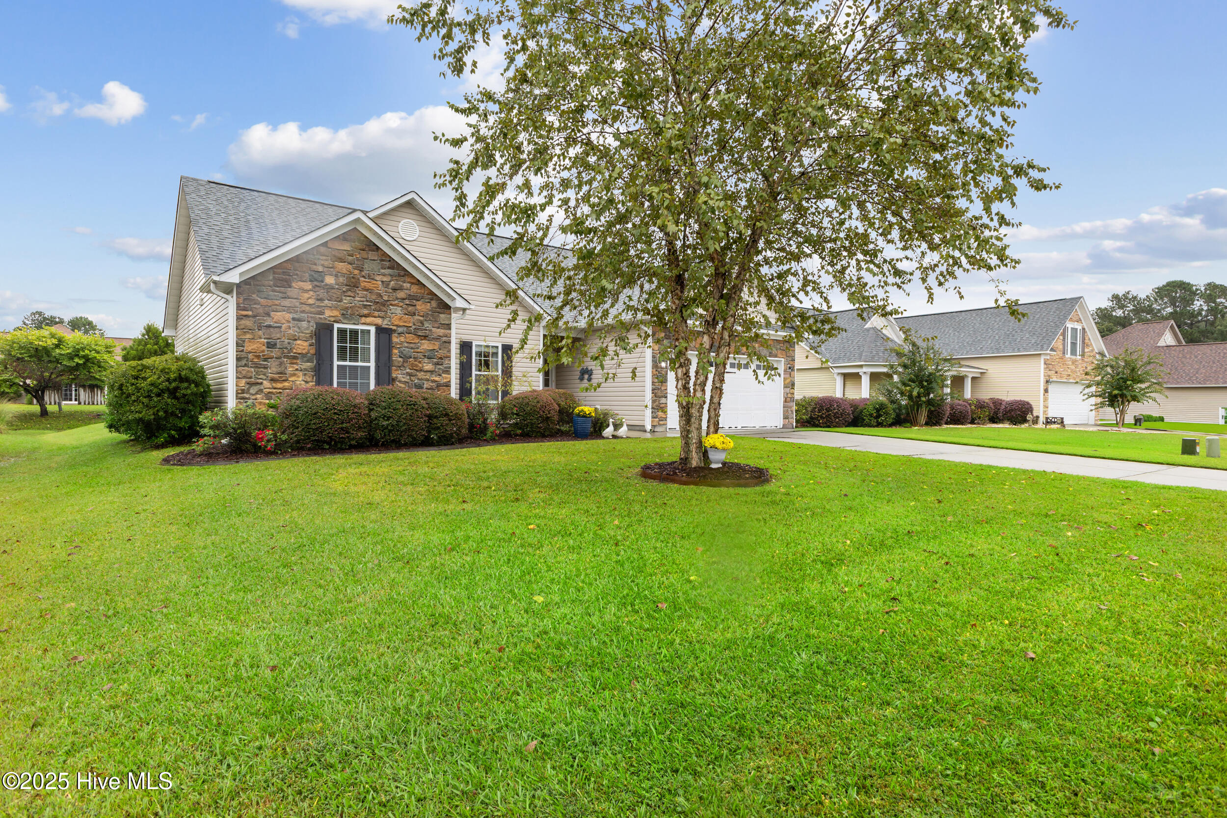 209 Conifer Drive