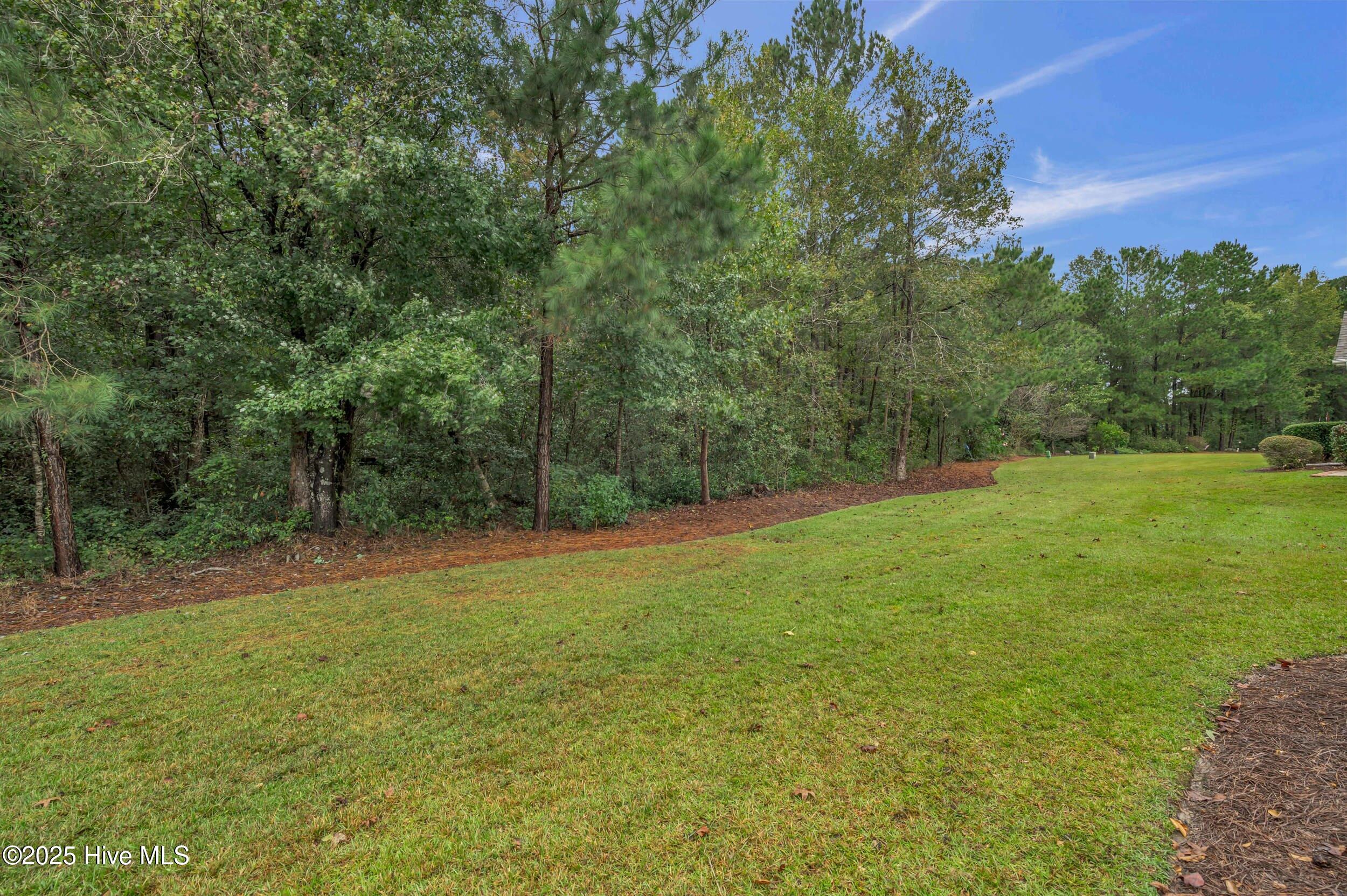 1155 Greensview Circle, Leland