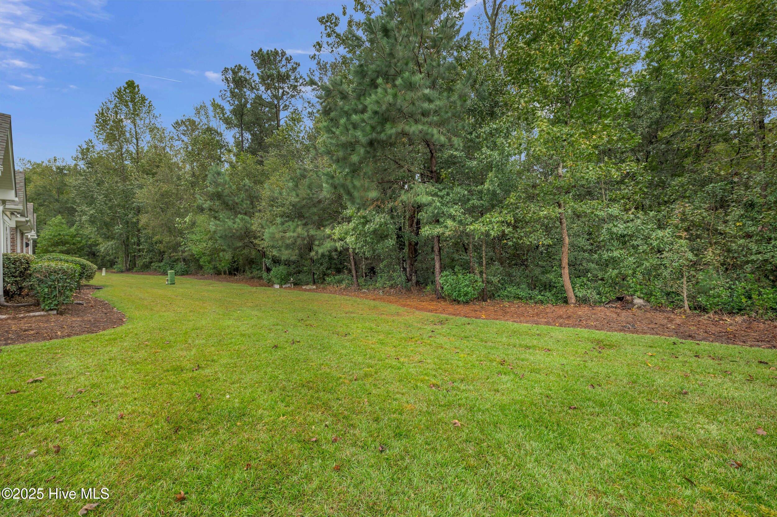 1155 Greensview Circle, Leland