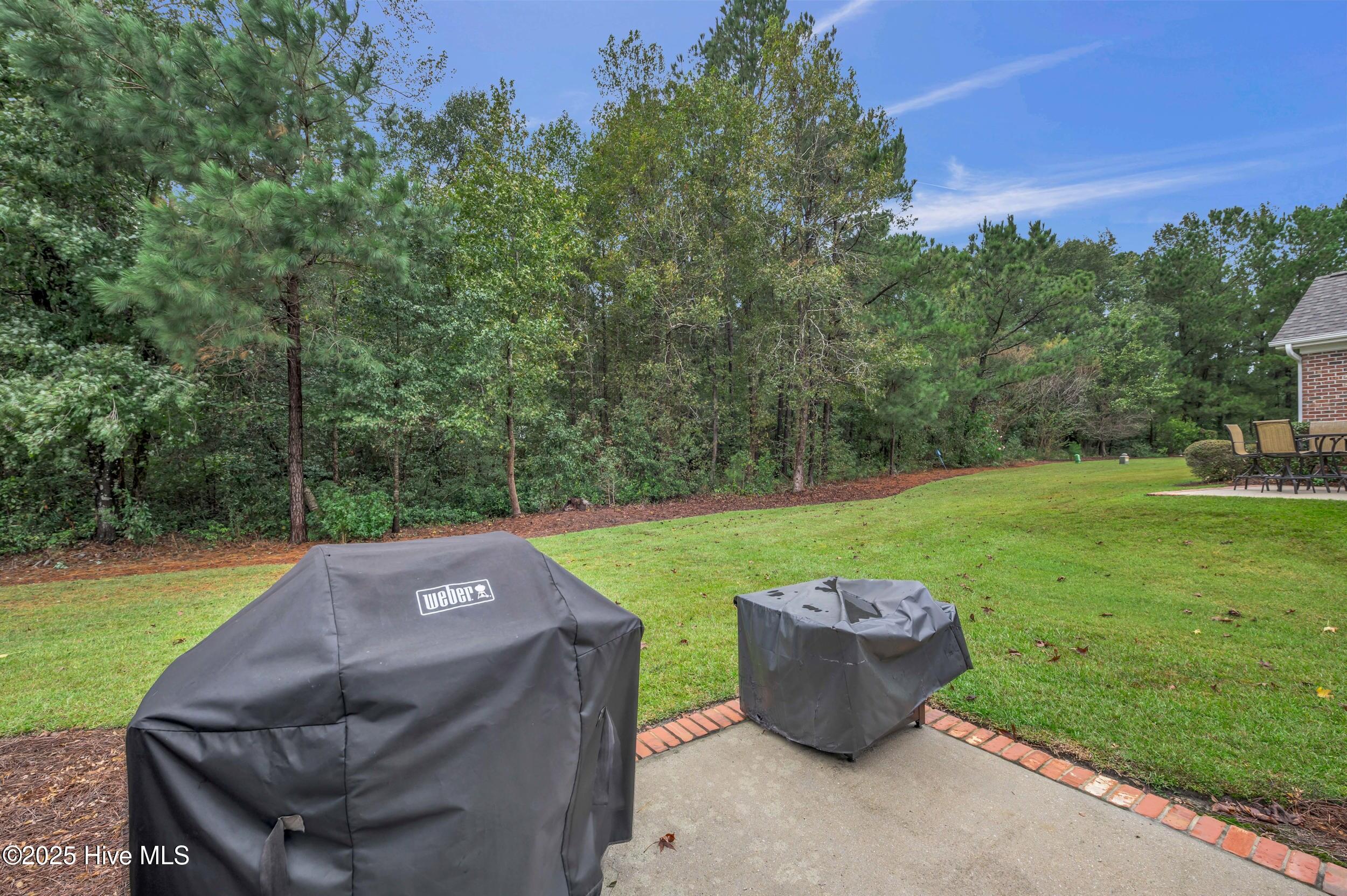 1155 Greensview Circle, Leland