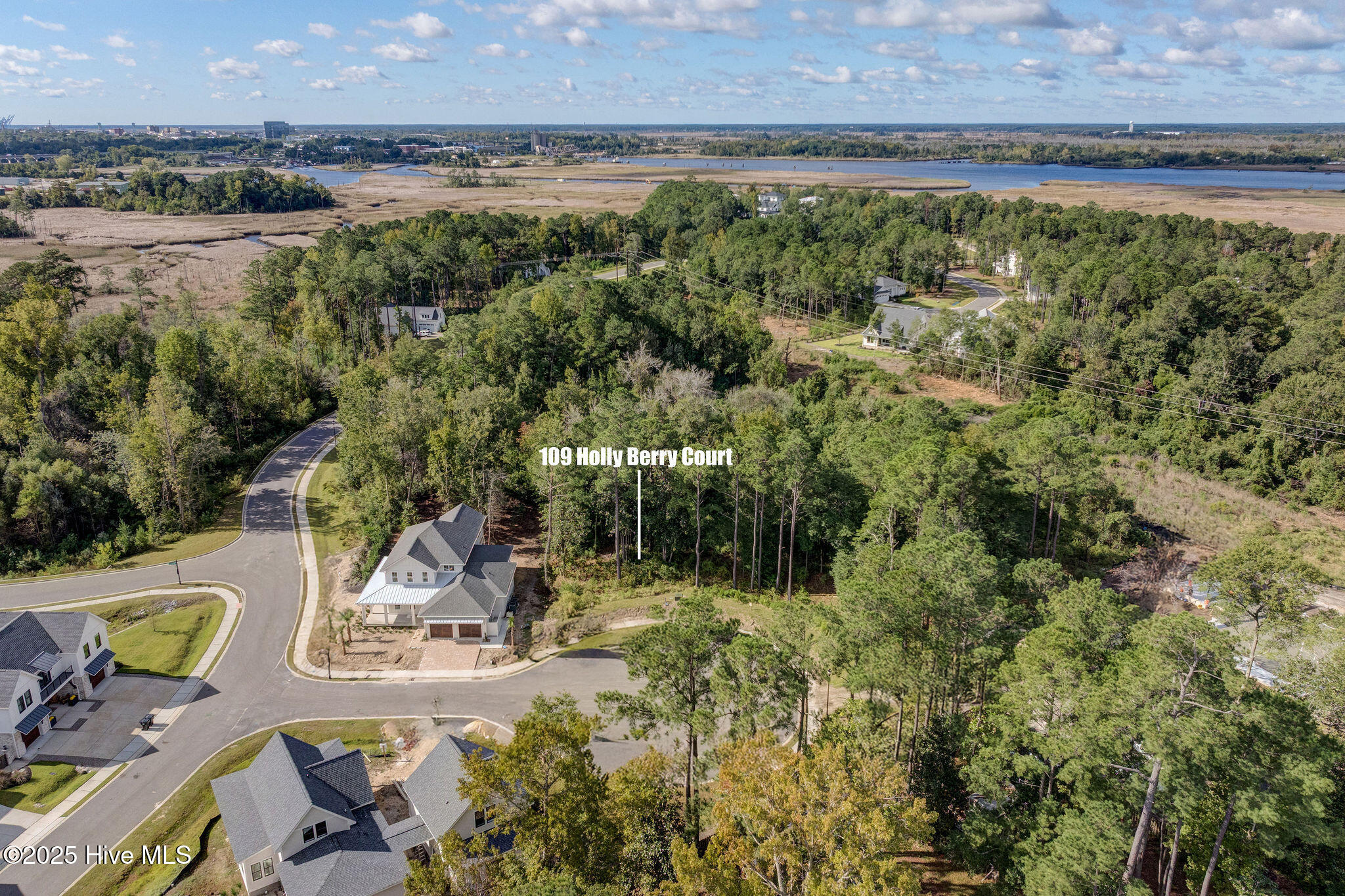 109 19 Holly Berry Court, Wilmington