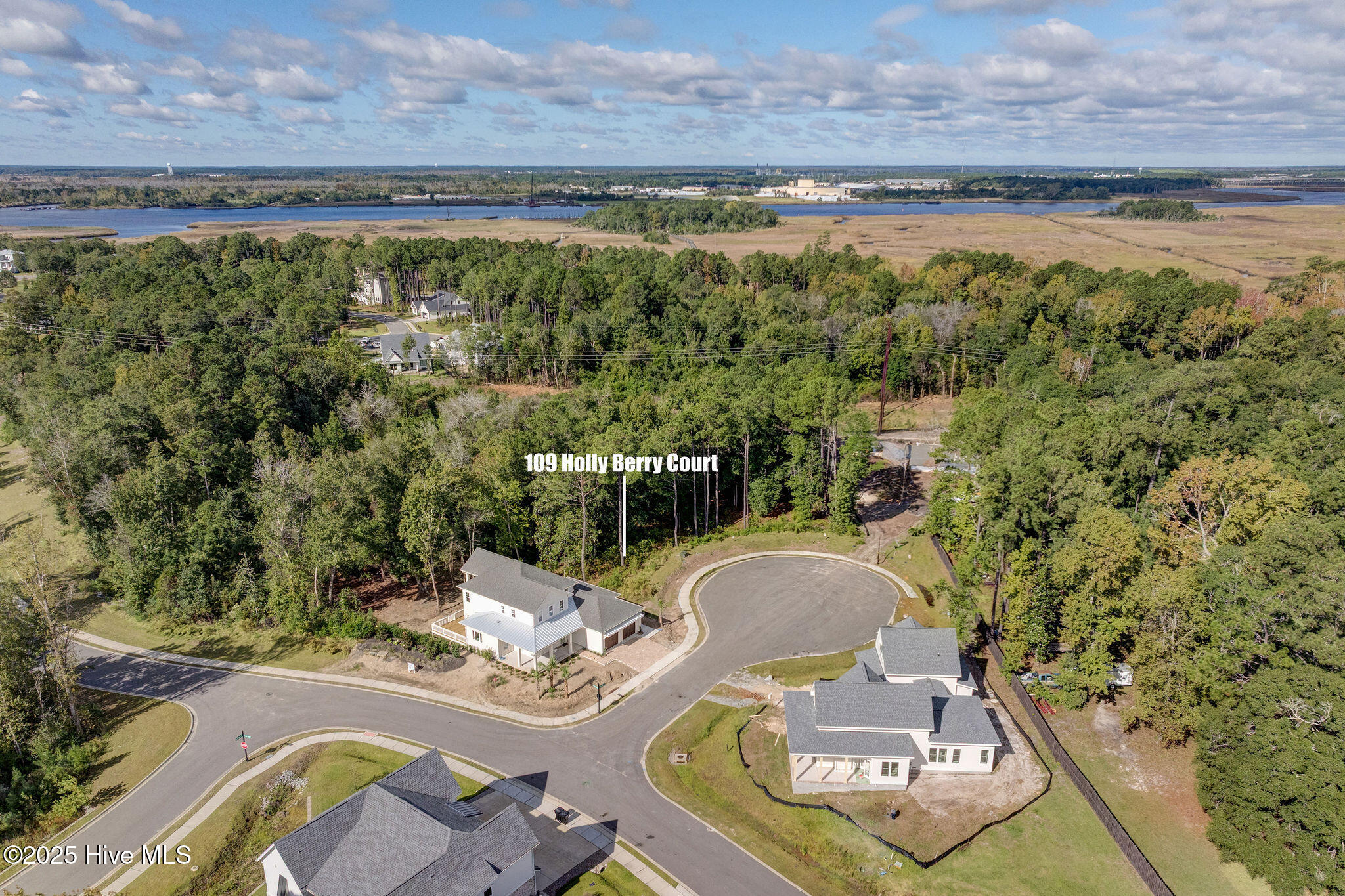 109 19 Holly Berry Court, Wilmington