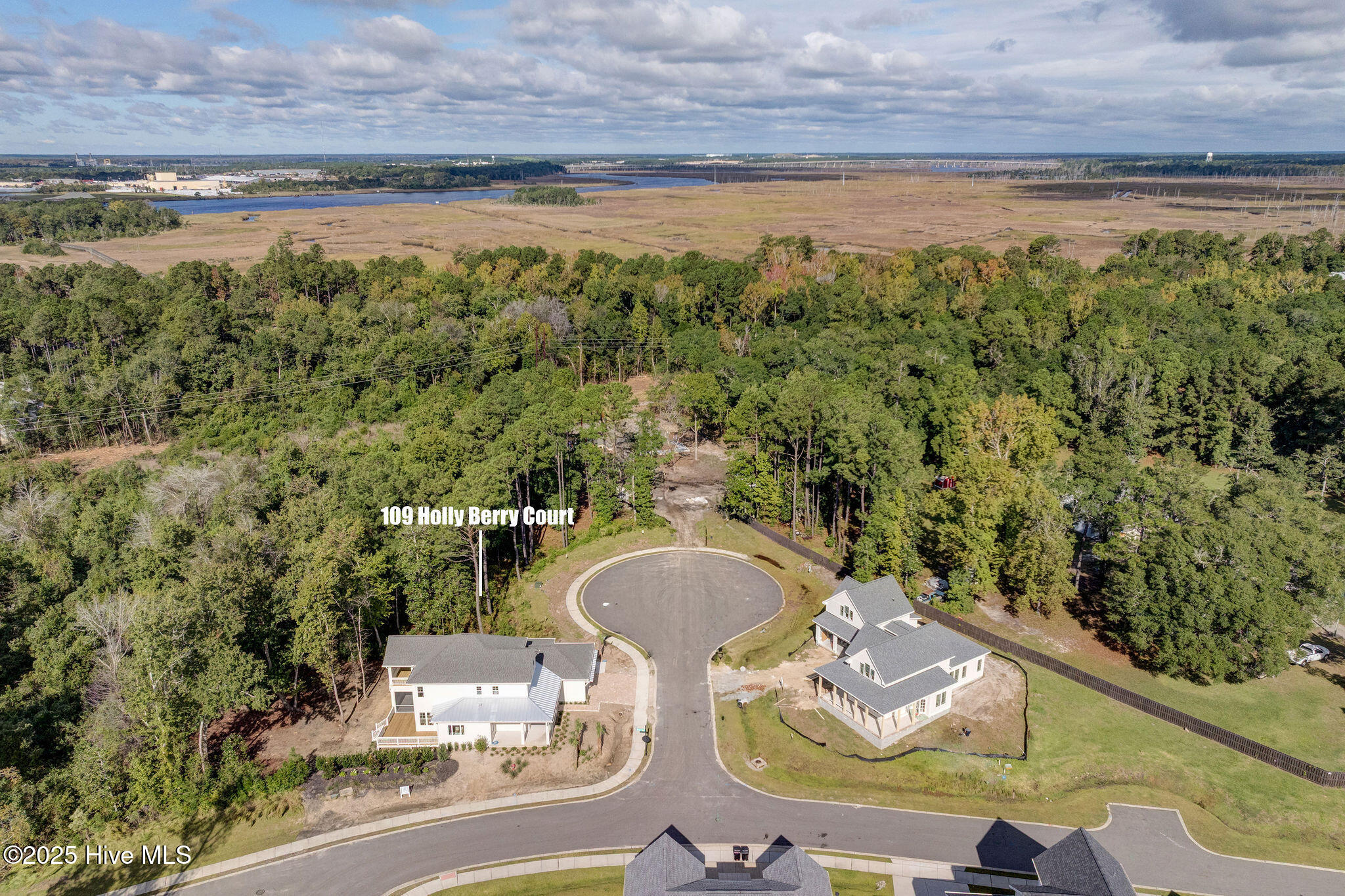 109 19 Holly Berry Court, Wilmington