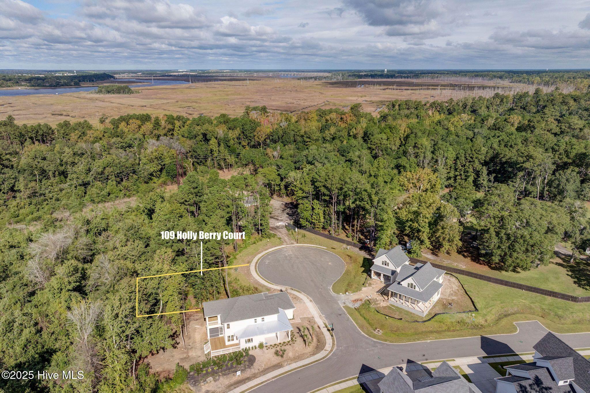 109 19 Holly Berry Court, Wilmington