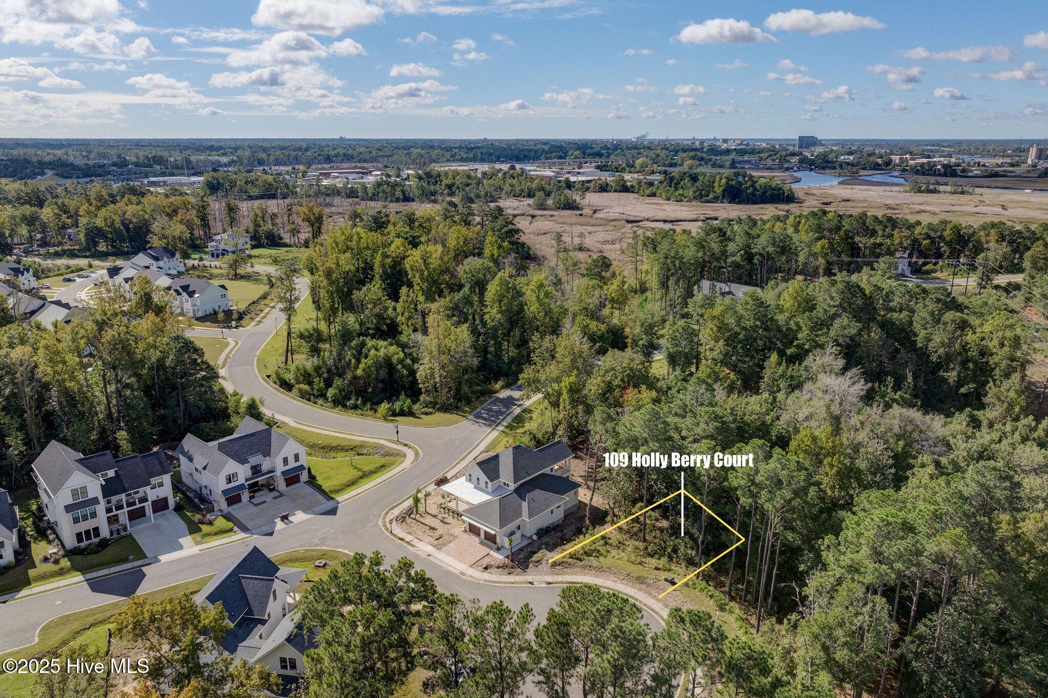 109 19 Holly Berry Court, Wilmington