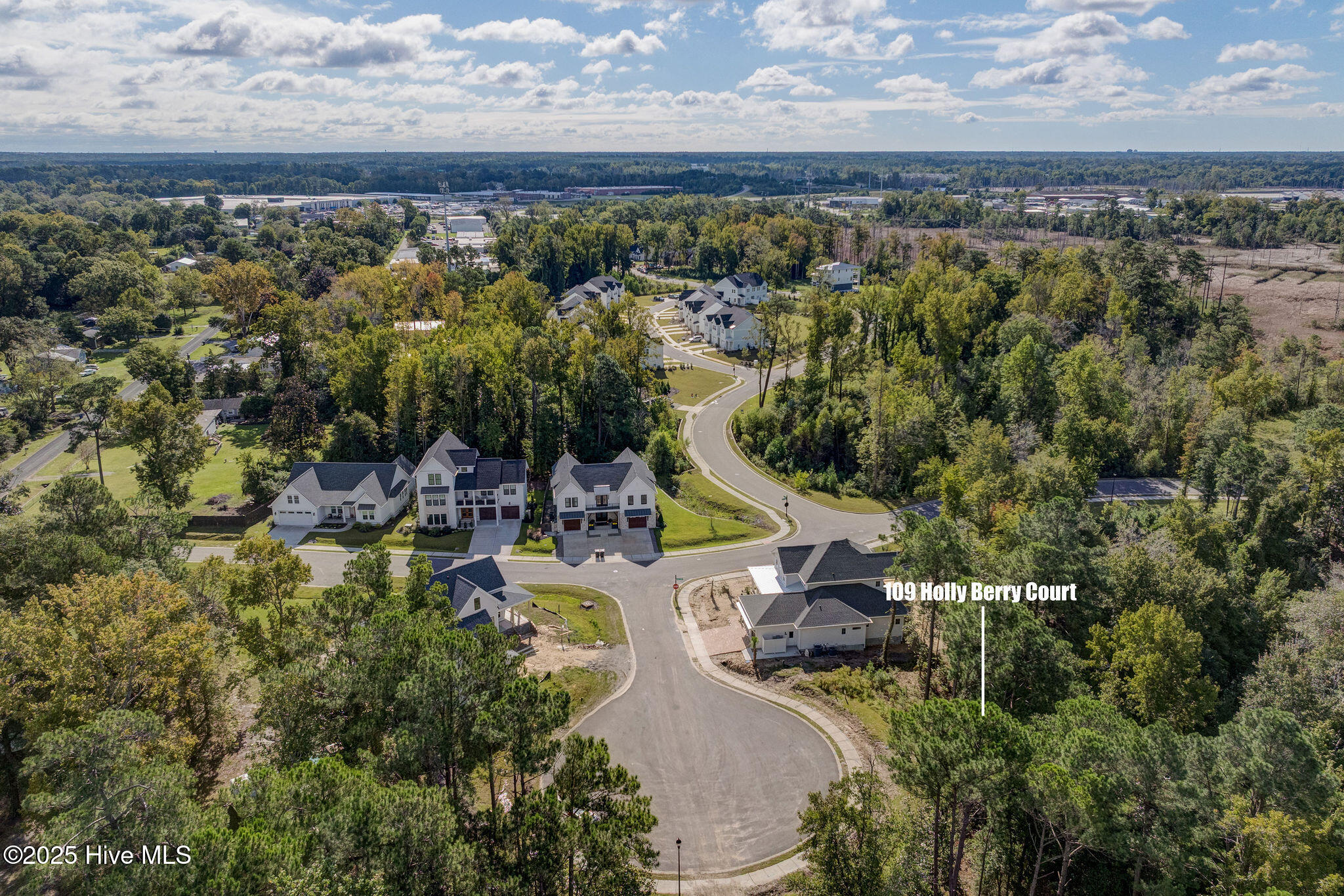 109 19 Holly Berry Court, Wilmington