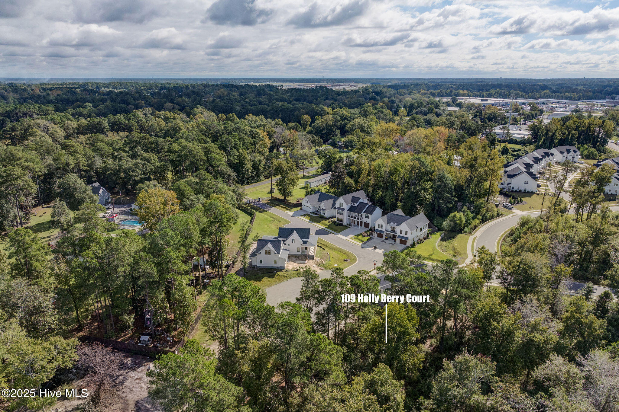 109 19 Holly Berry Court, Wilmington