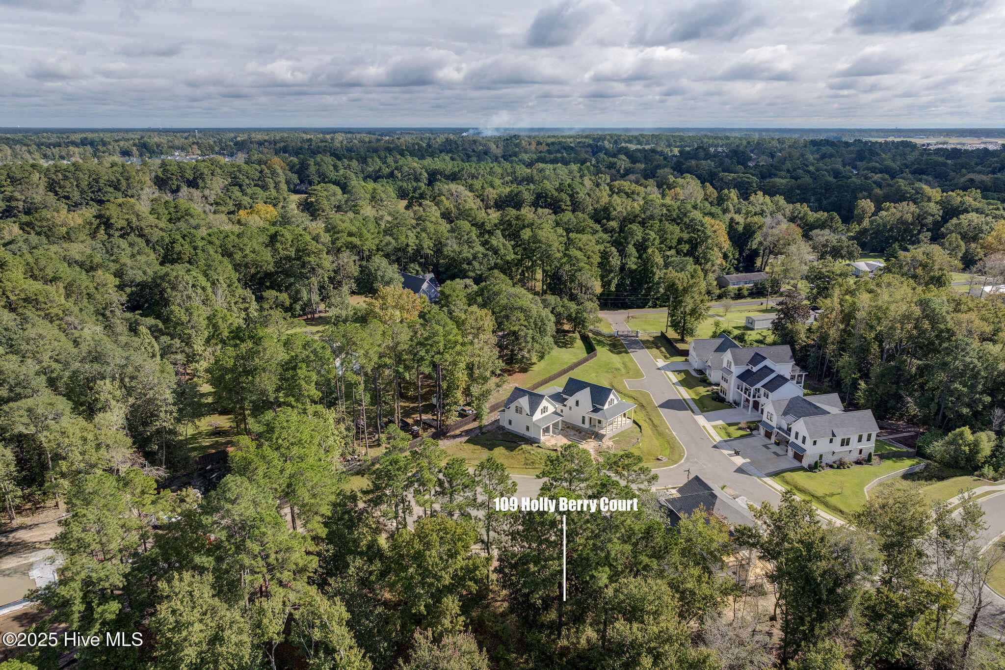 109 19 Holly Berry Court, Wilmington