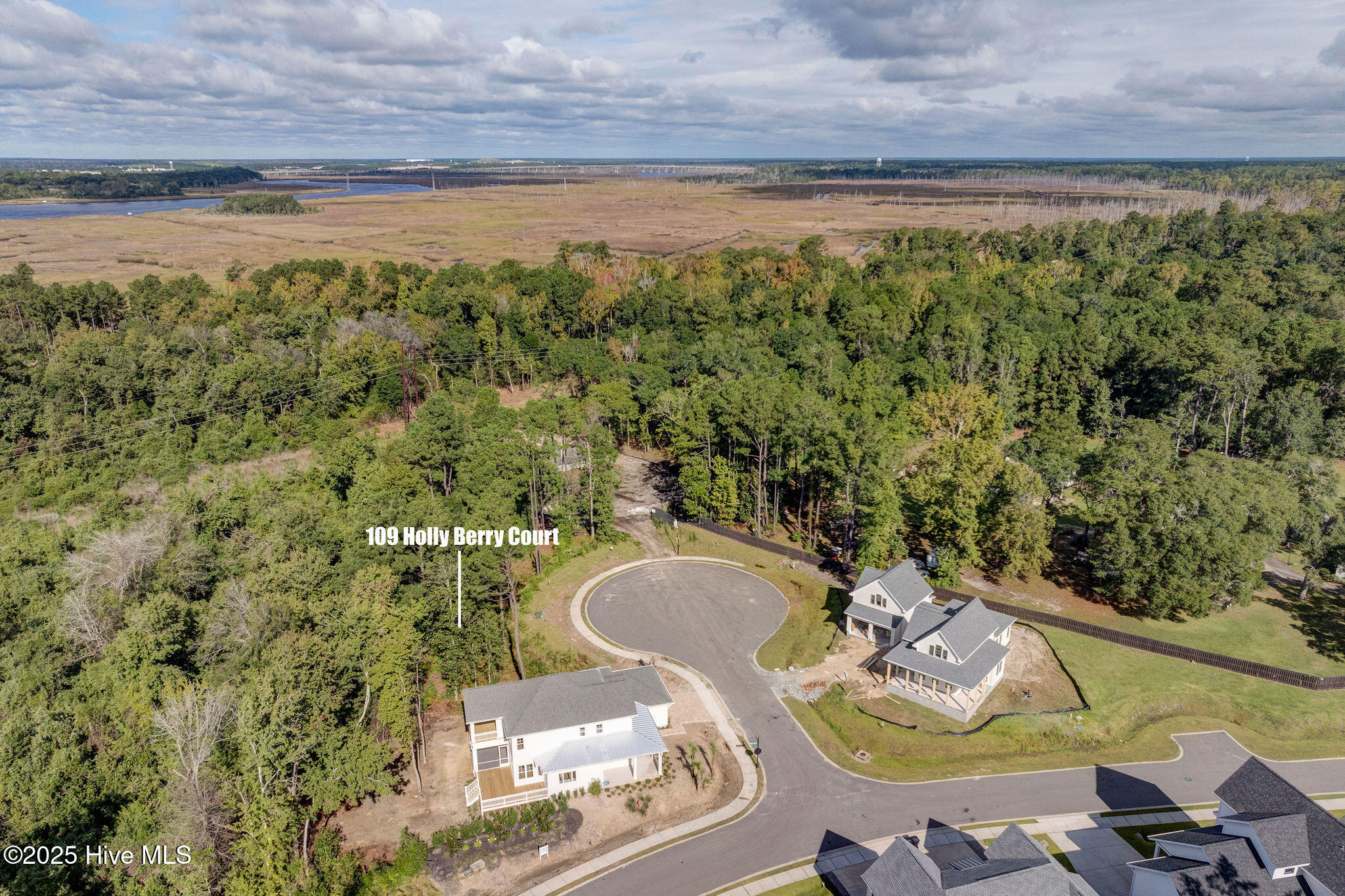 109 19 Holly Berry Court, Wilmington