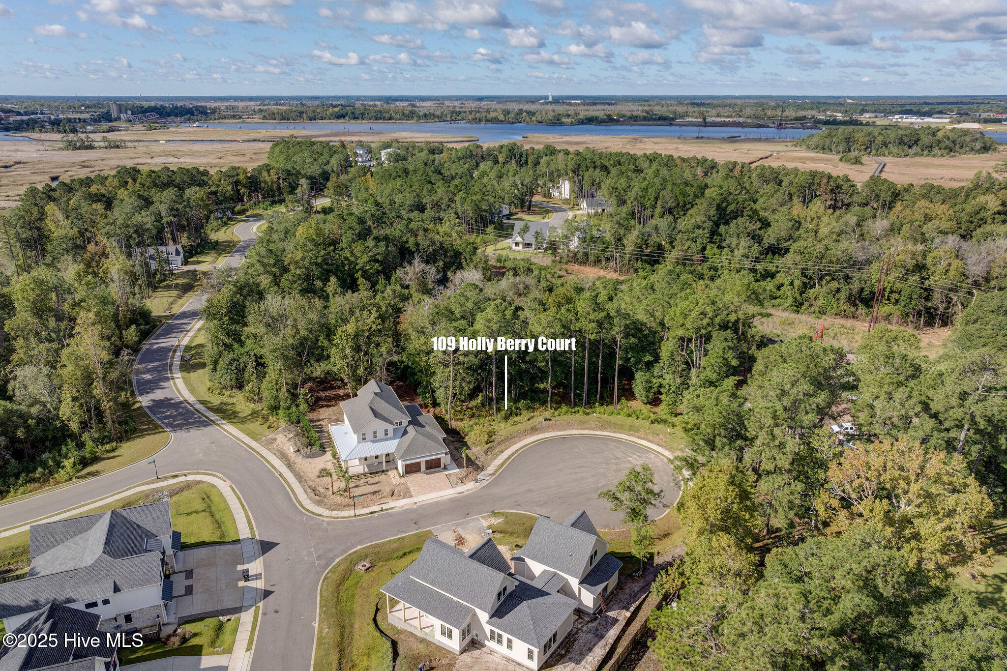 109 19 Holly Berry Court, Wilmington