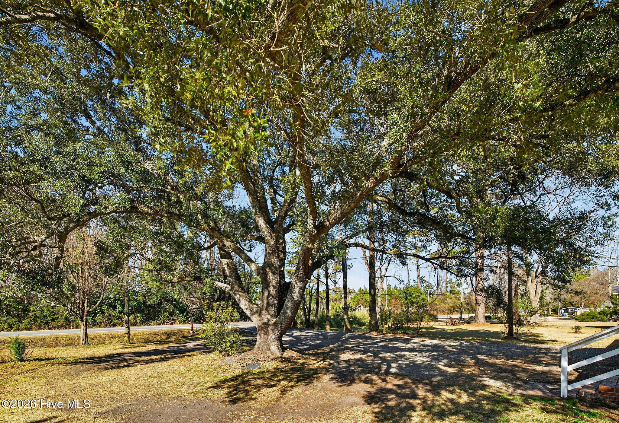 4516 Castle Hayne Road