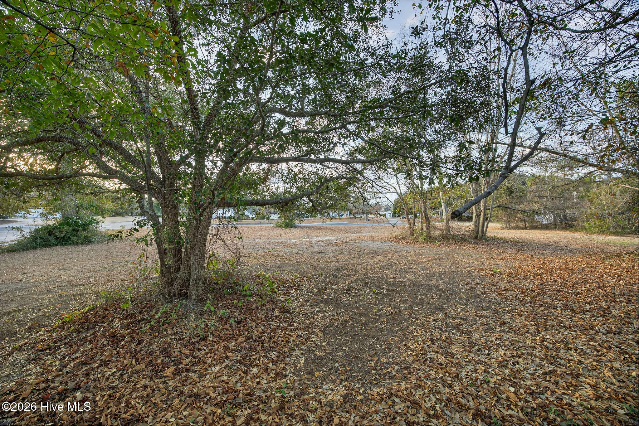 32 Salt Marsh Lane