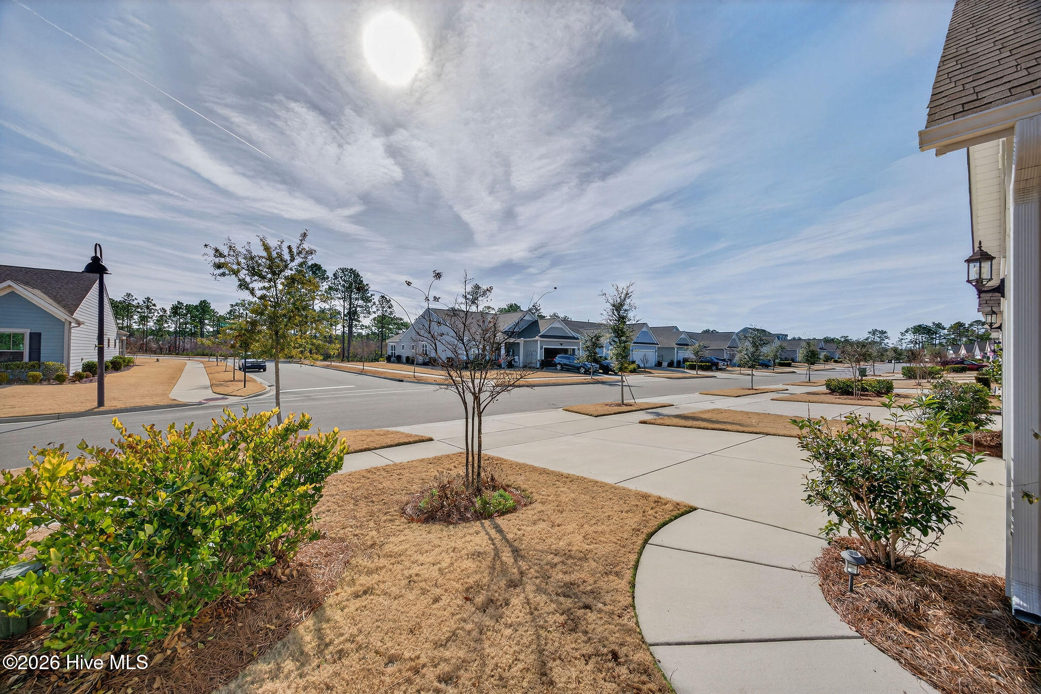 3166 Laughing Gull Terrace