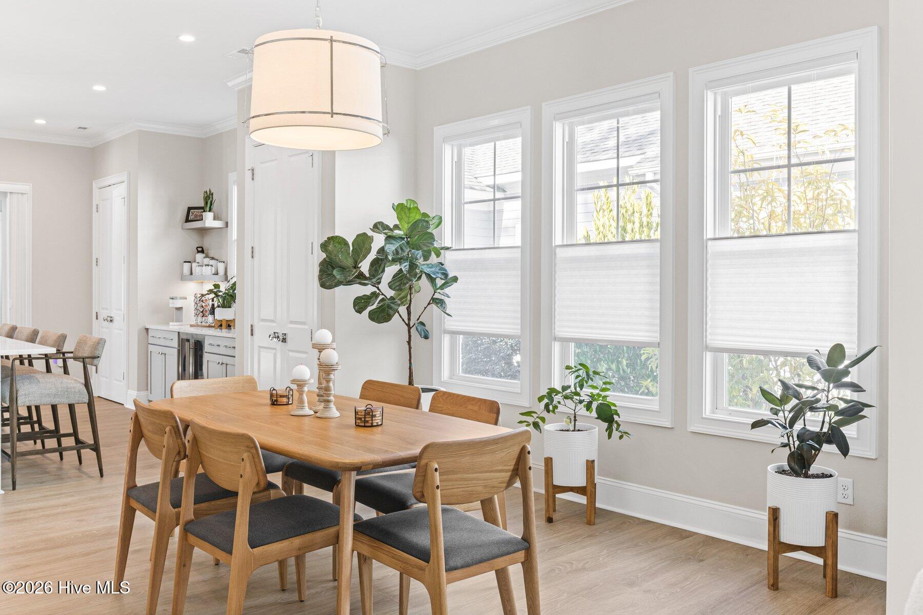 204 Cornubia Drive